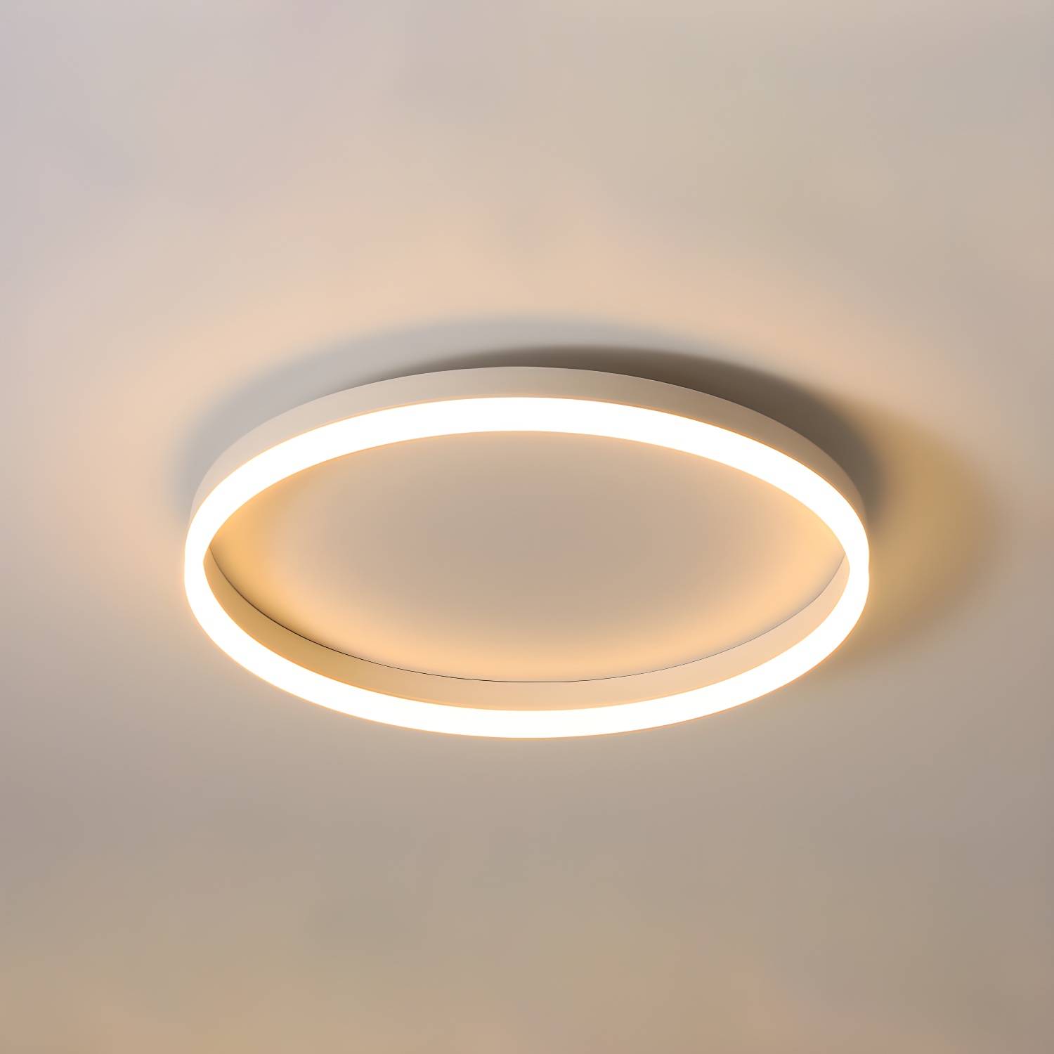 Imported image 5282f178b9d4 3572760.jpg