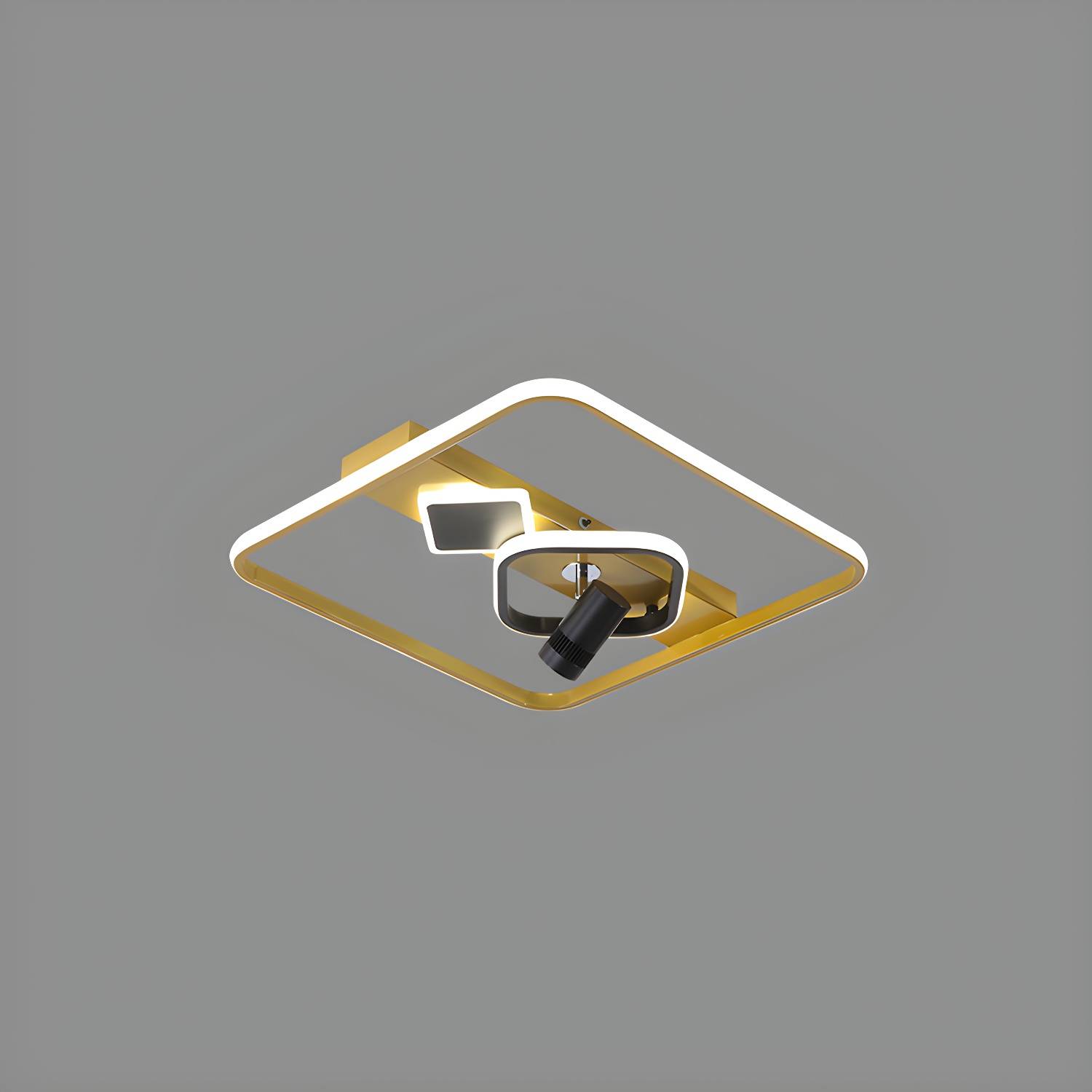 Imported image 872513883e3d 3585622.jpg
