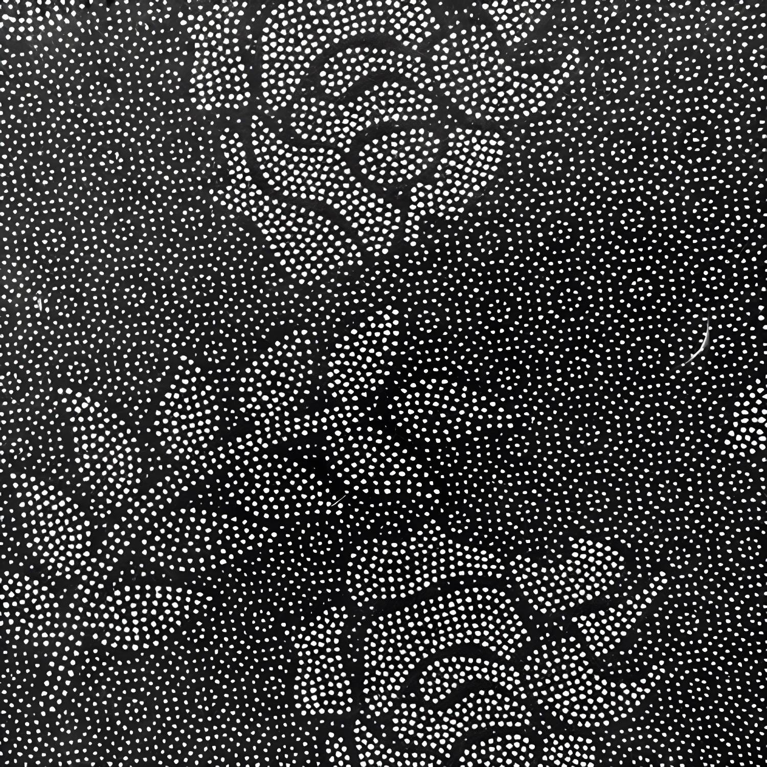 Imported image 09d1d6db8ad4 3592972.jpg