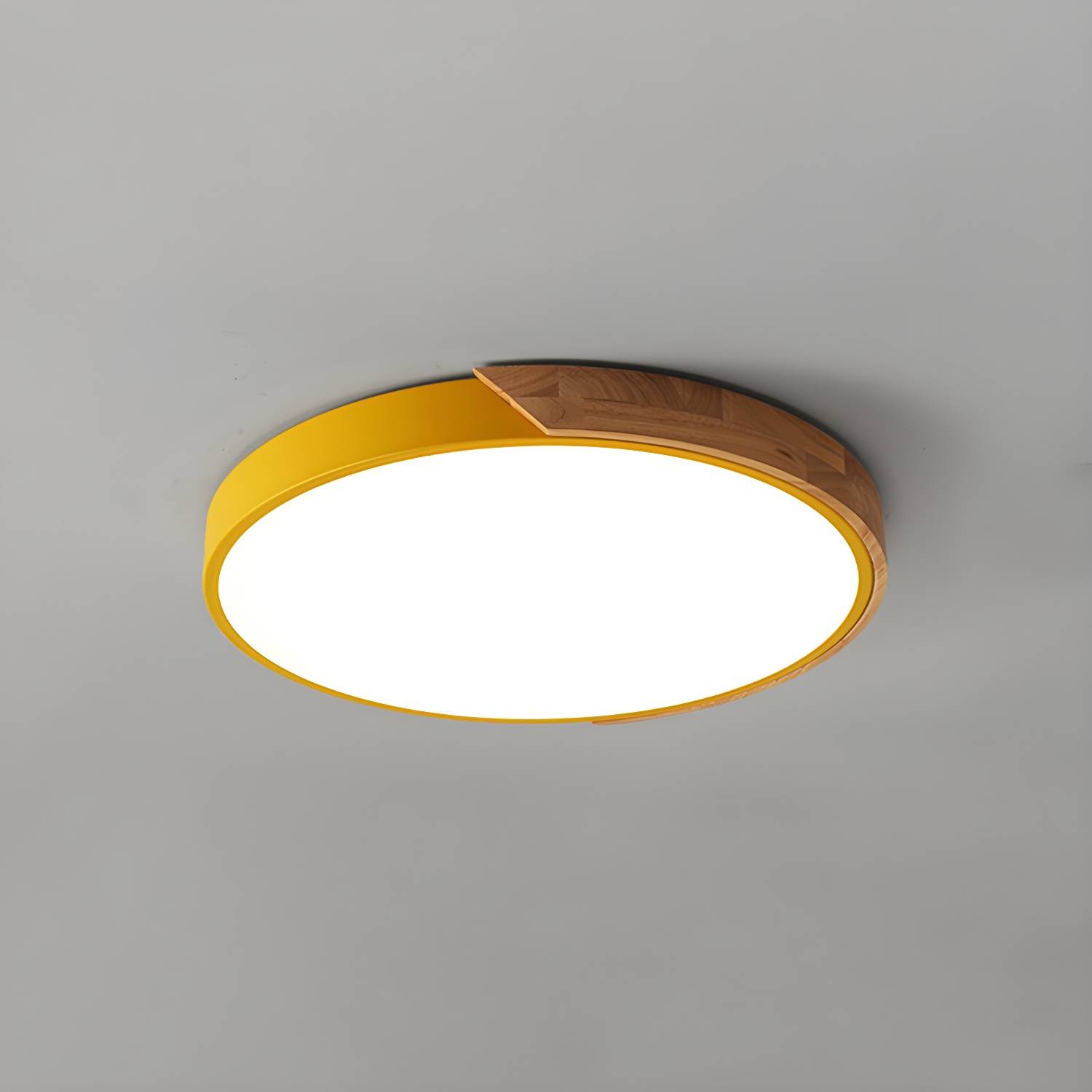 Imported image e04097a391e4 3602340.jpg
