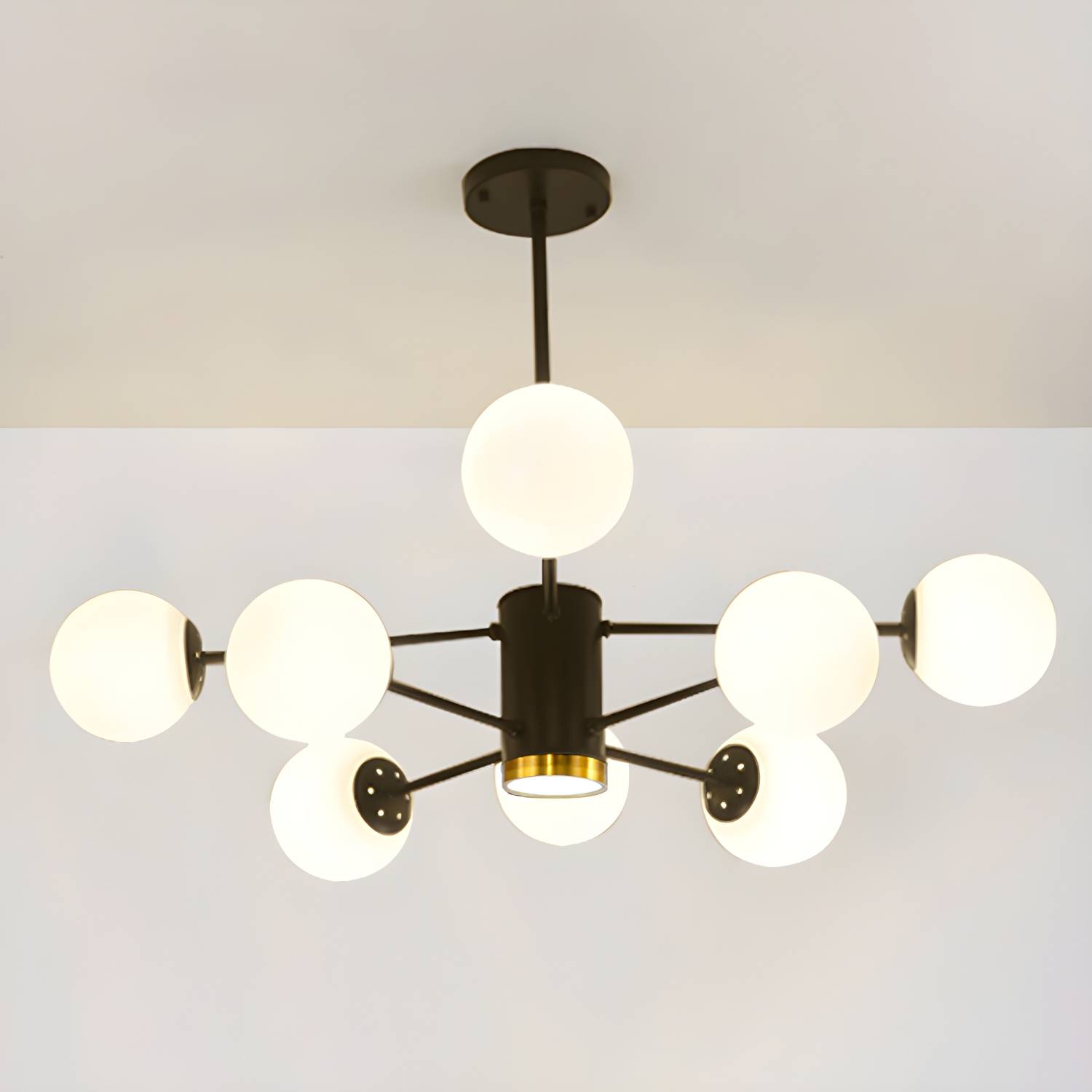 Imported image f55a69f86cac 3615340.jpg