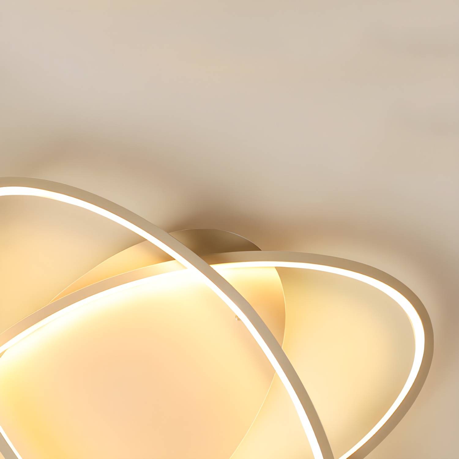 Imported image cc841d3c6f26 3622895.jpg
