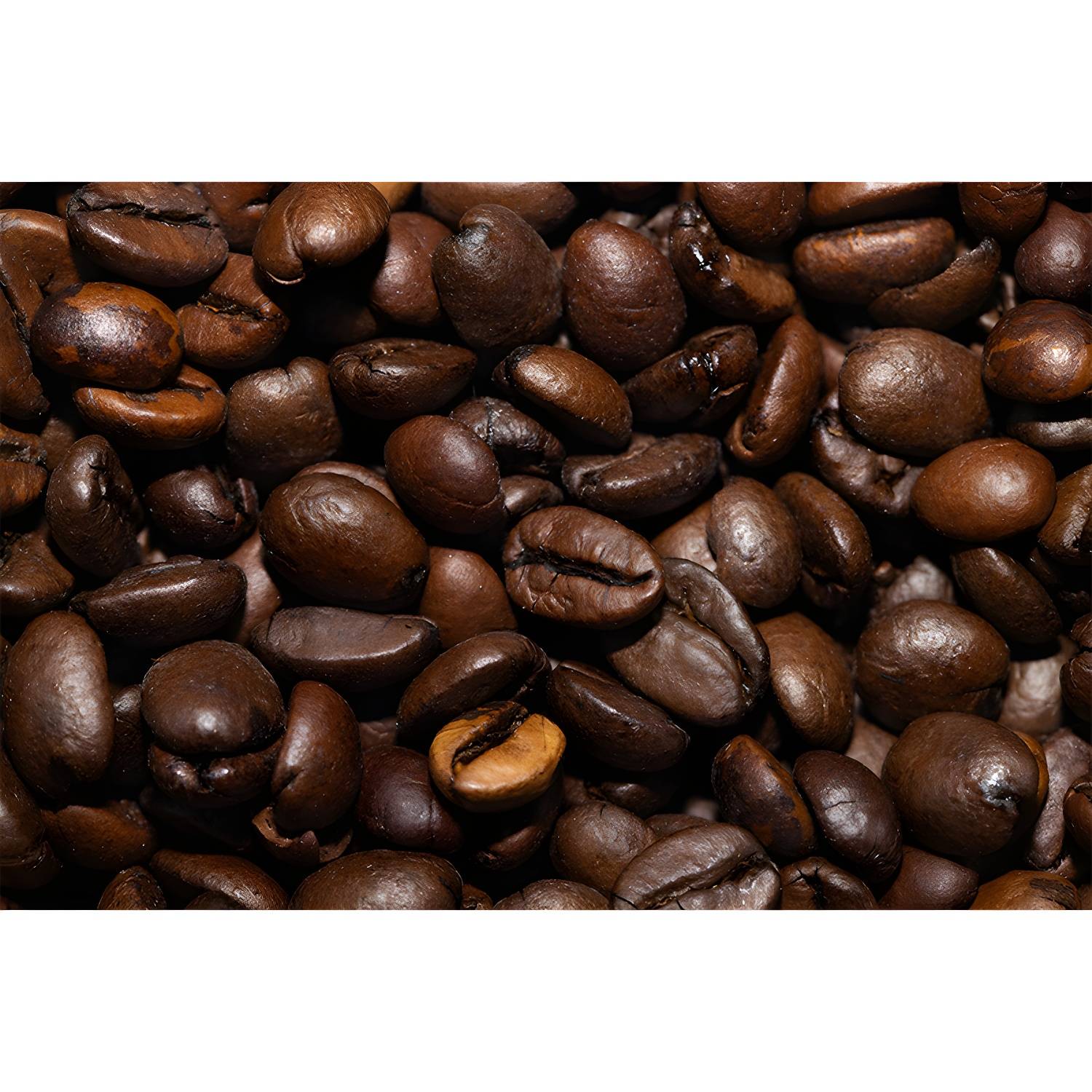 Imported image 40aec17b24f3 3629747.jpg