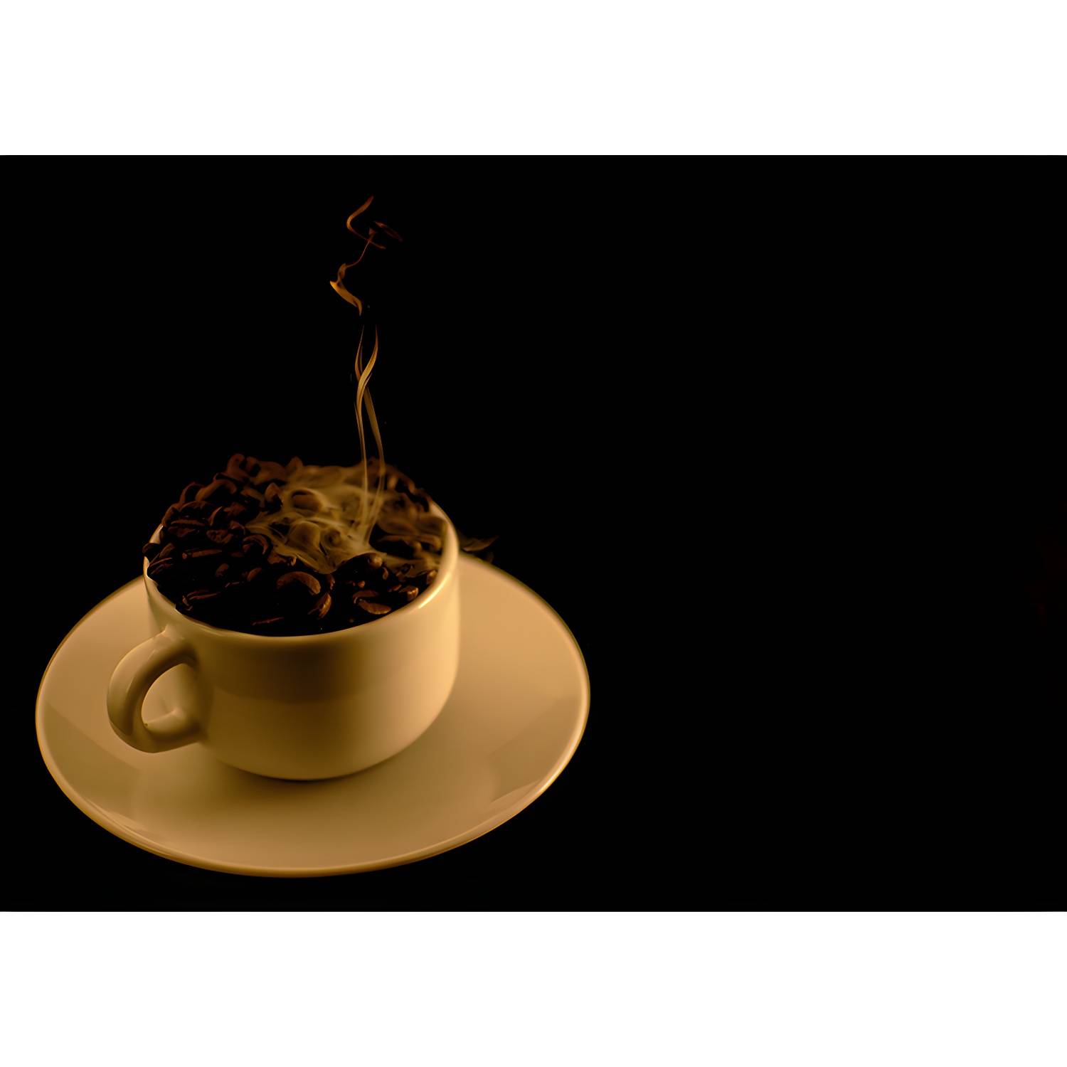Imported image a5abd733fdbb 3630111.jpg