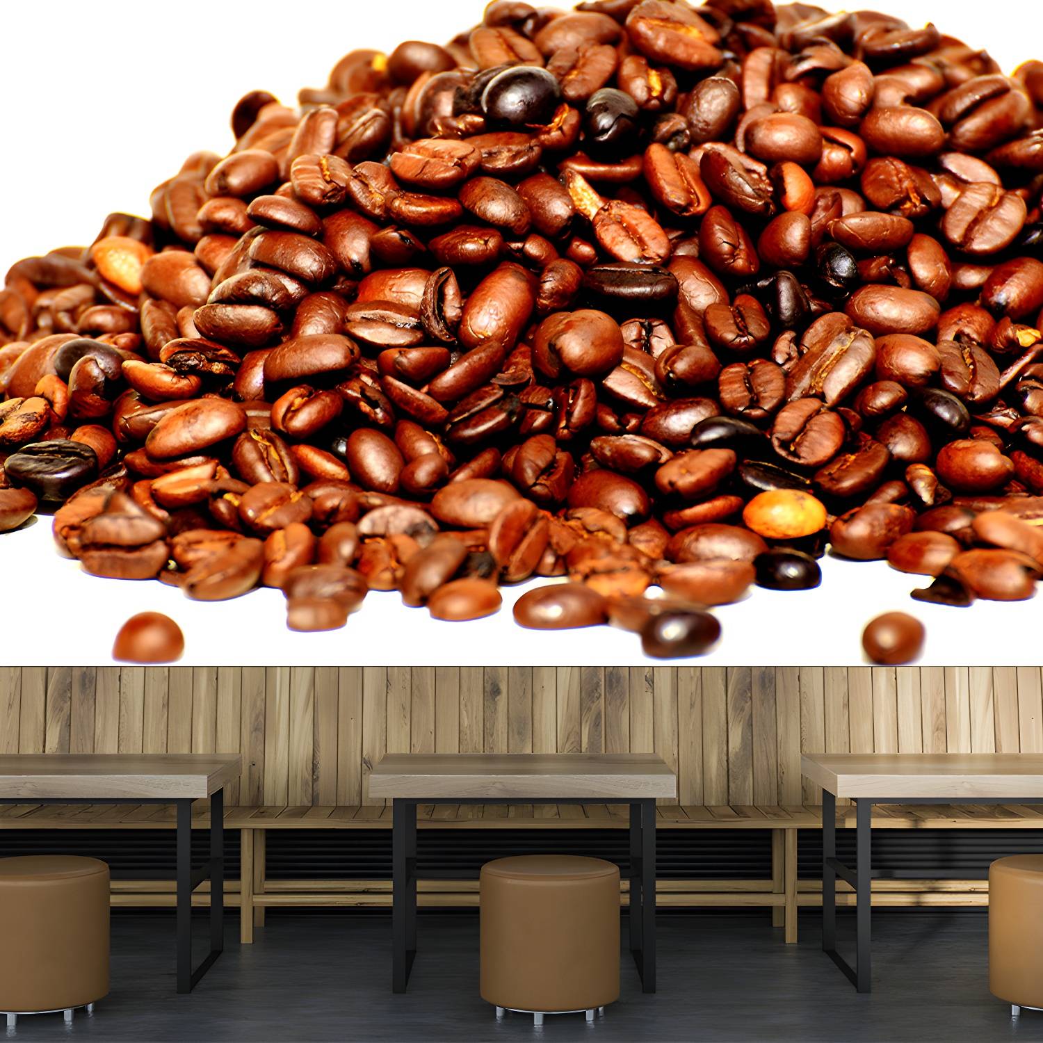 Imported image 6c9e566f094f 3630168.jpg