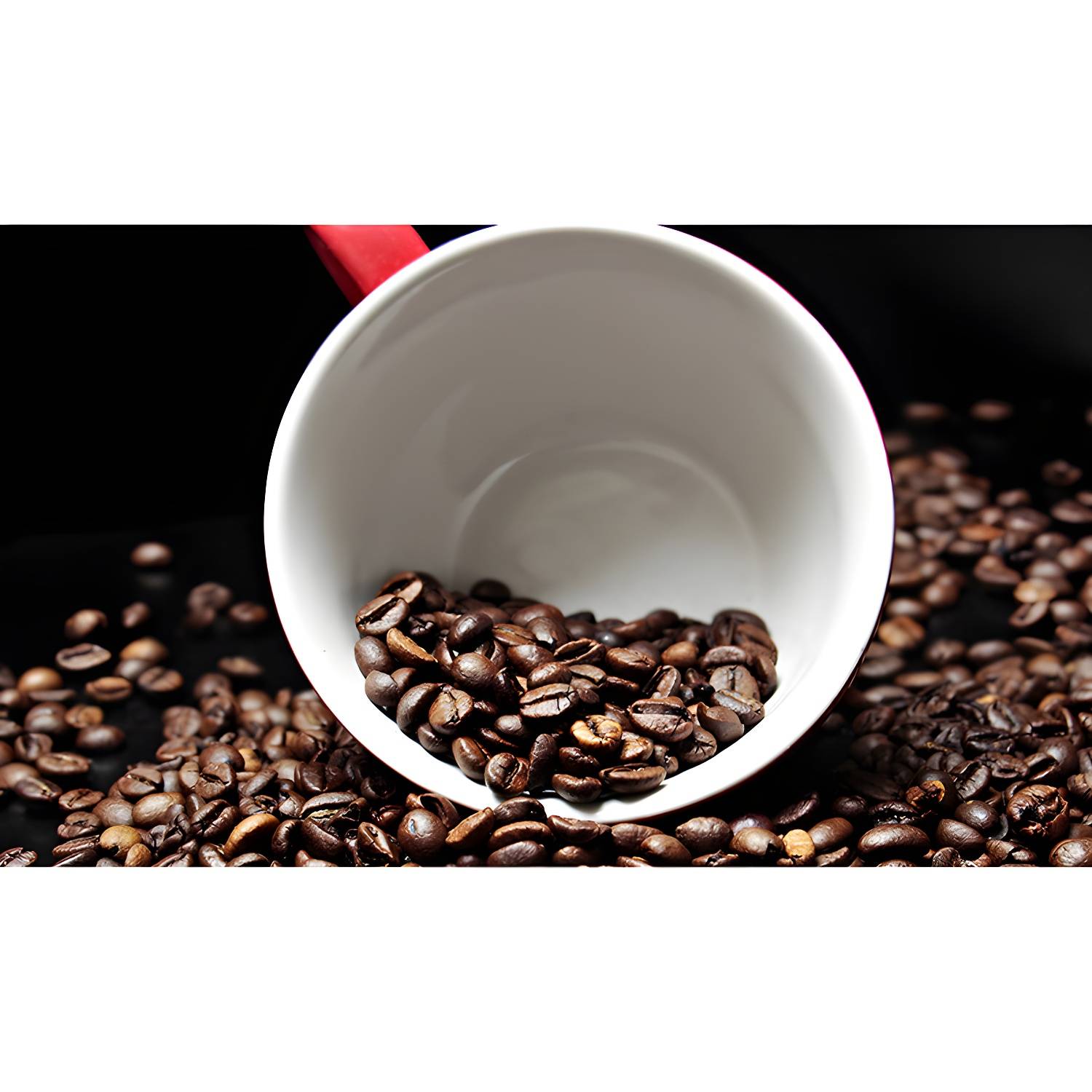 Imported image efad7e496e1a 3630309.jpg