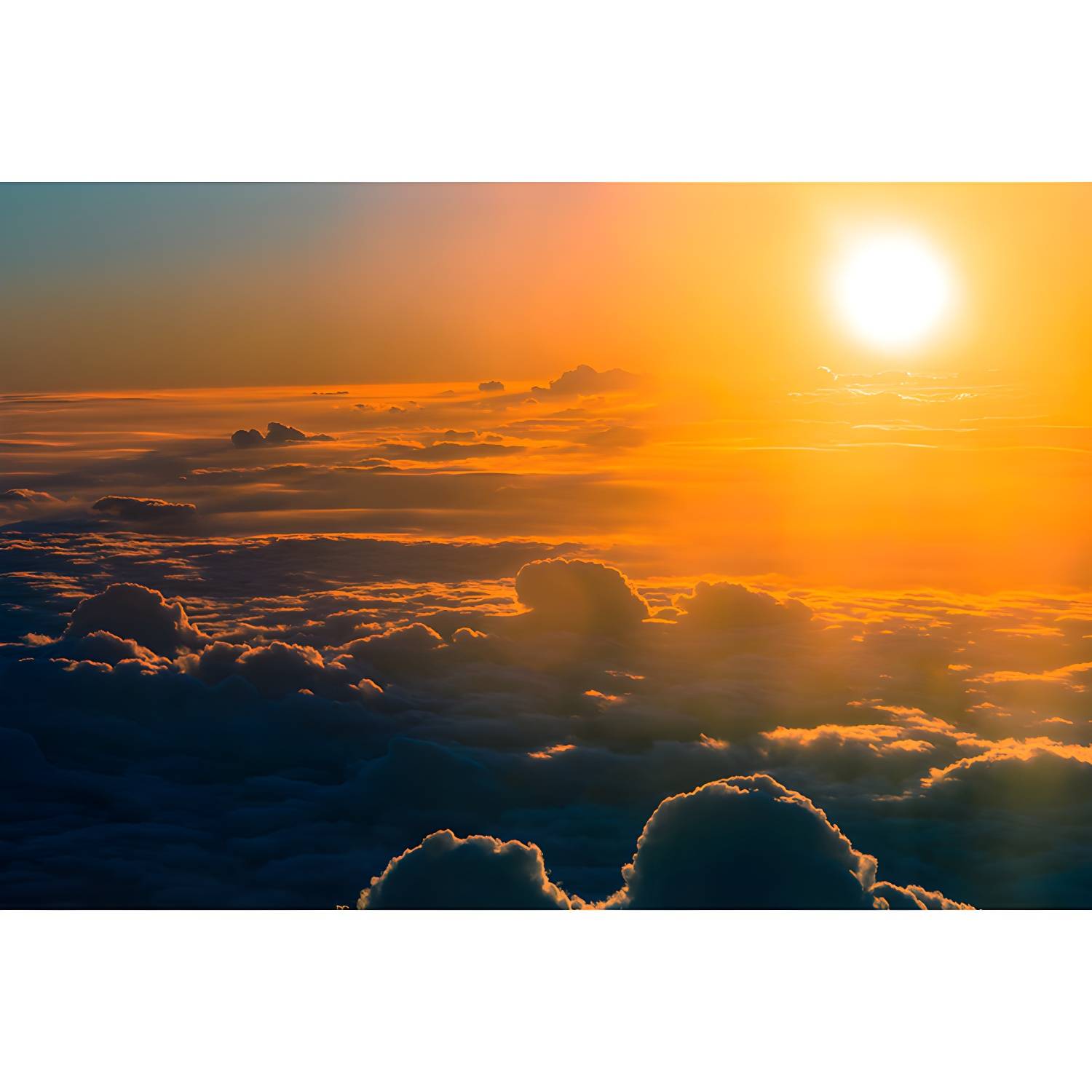 Imported image e5ccffe9c657 3631498.jpg