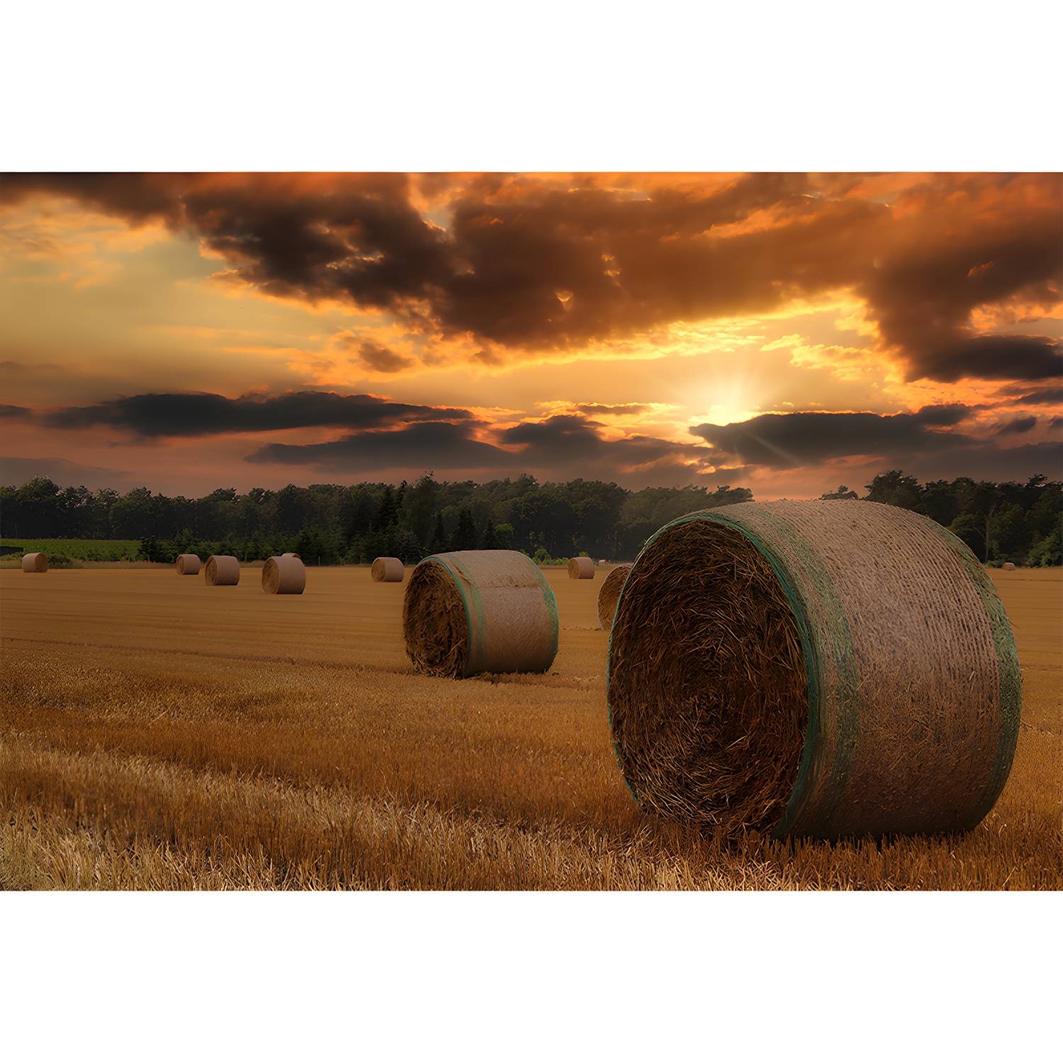 Imported image 13ec01a3a8f7 3632963.jpg