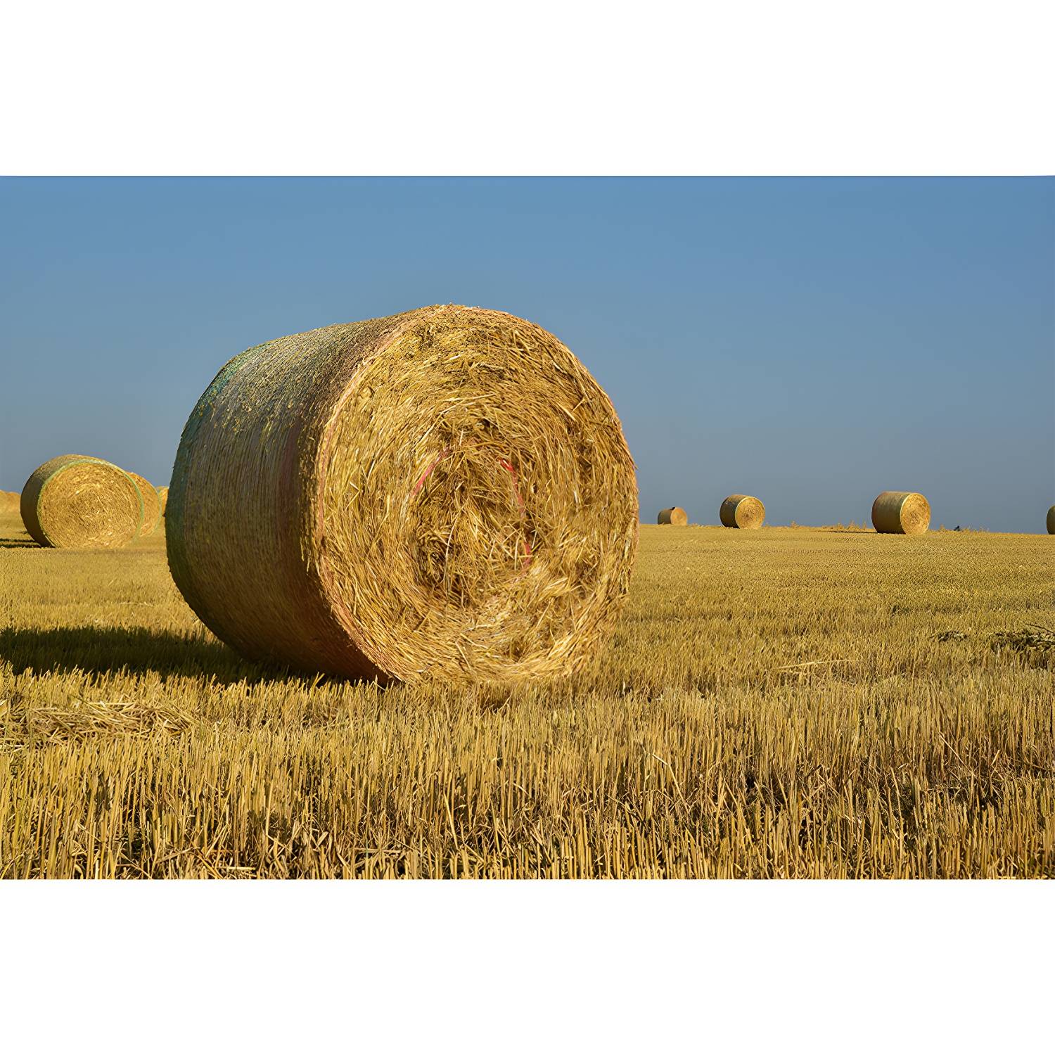 Imported image dc4fdff4d404 3633077.jpg