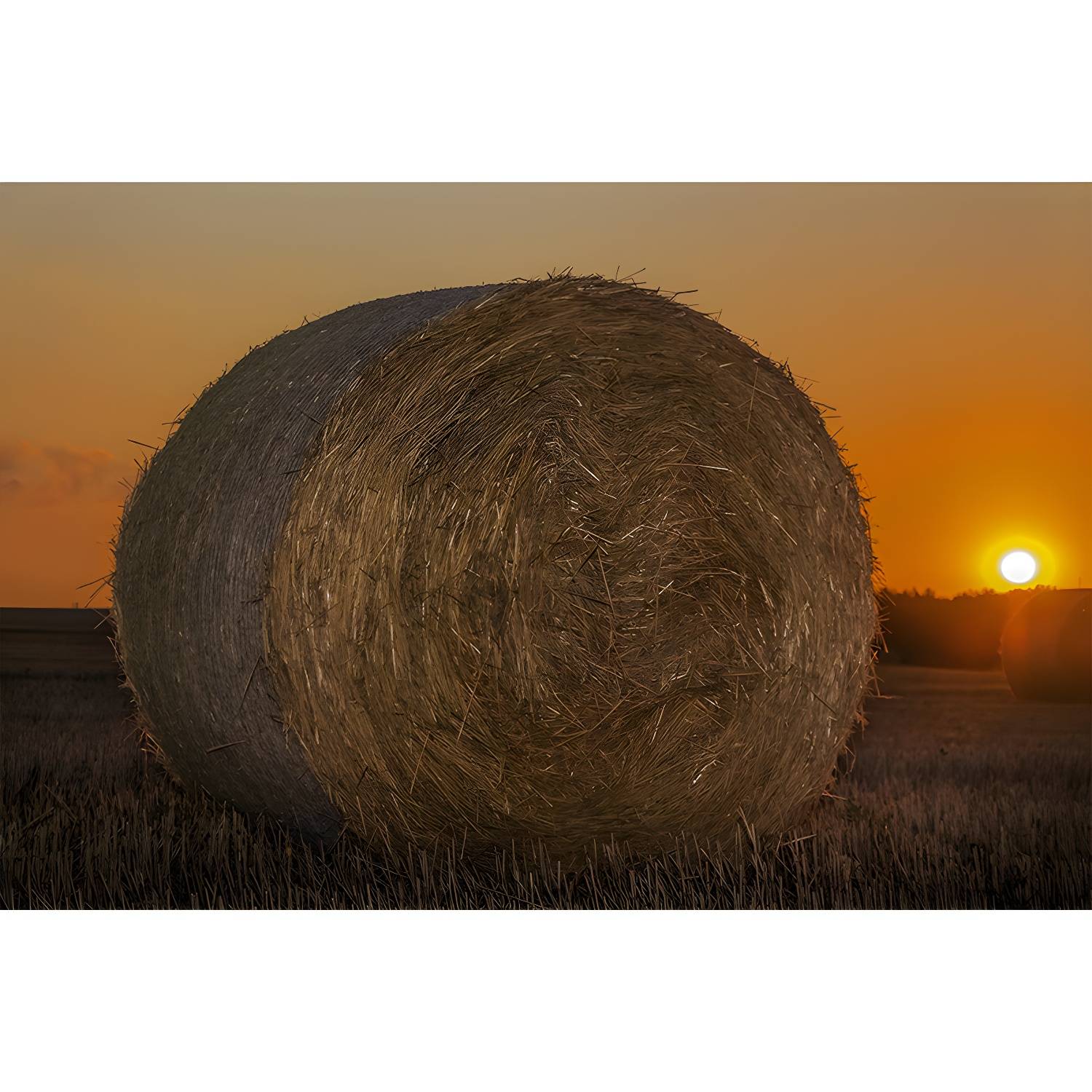 Imported image 540b2dd74e77 3633121.jpg