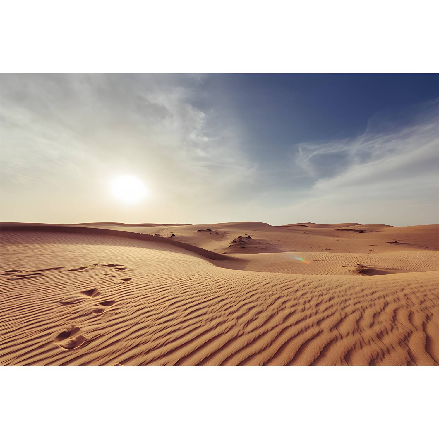 Imported image 6e4dbb77c617 3633139.jpg