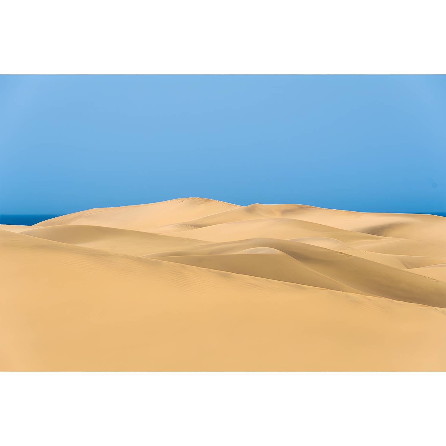 Imported image d46820f95fc7 3633275.jpg