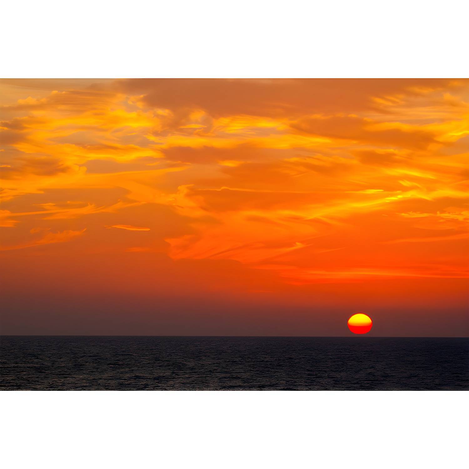 Imported image fc6e402f3e9d 3633387.jpg