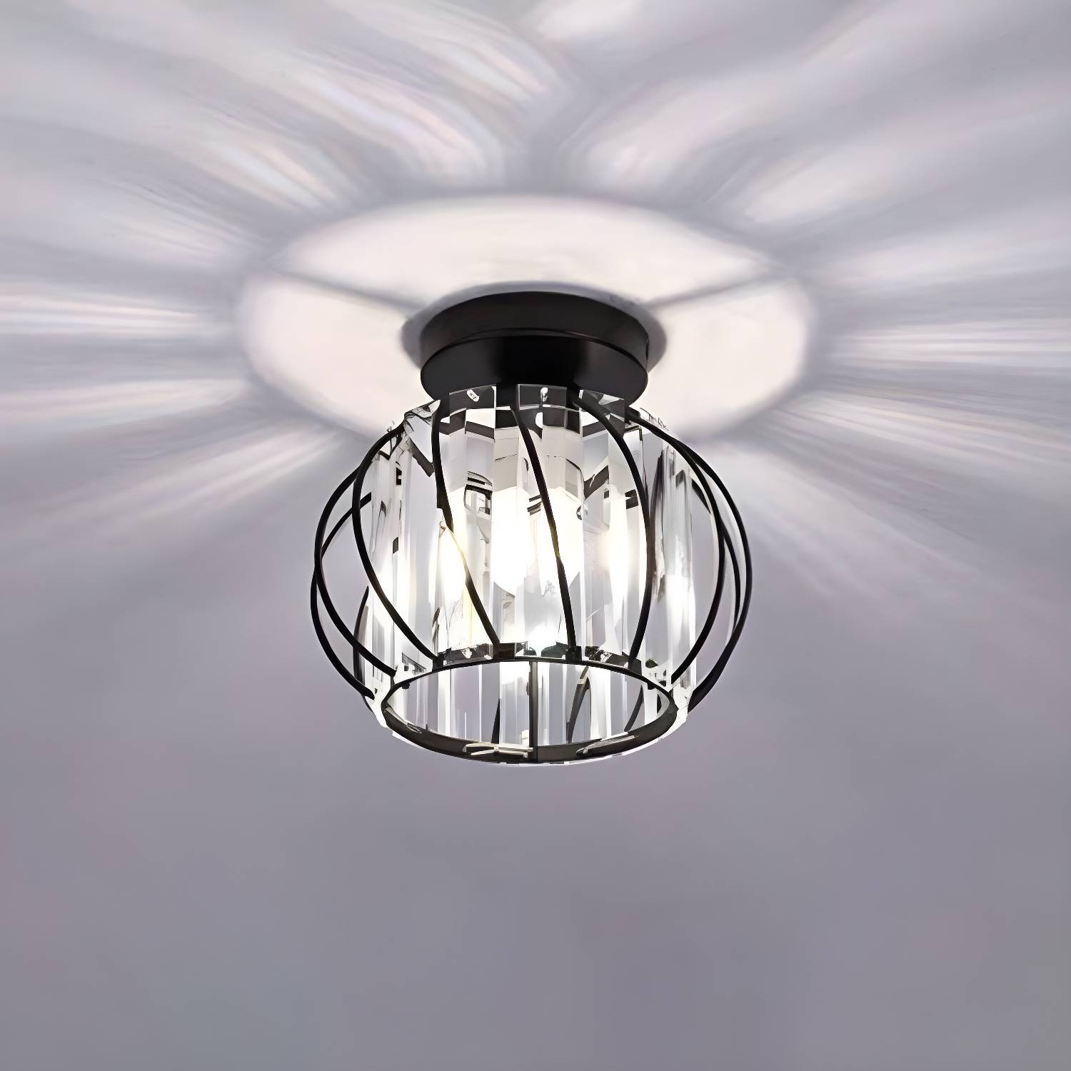 Imported image 5e31e68dc343 3633470.jpg