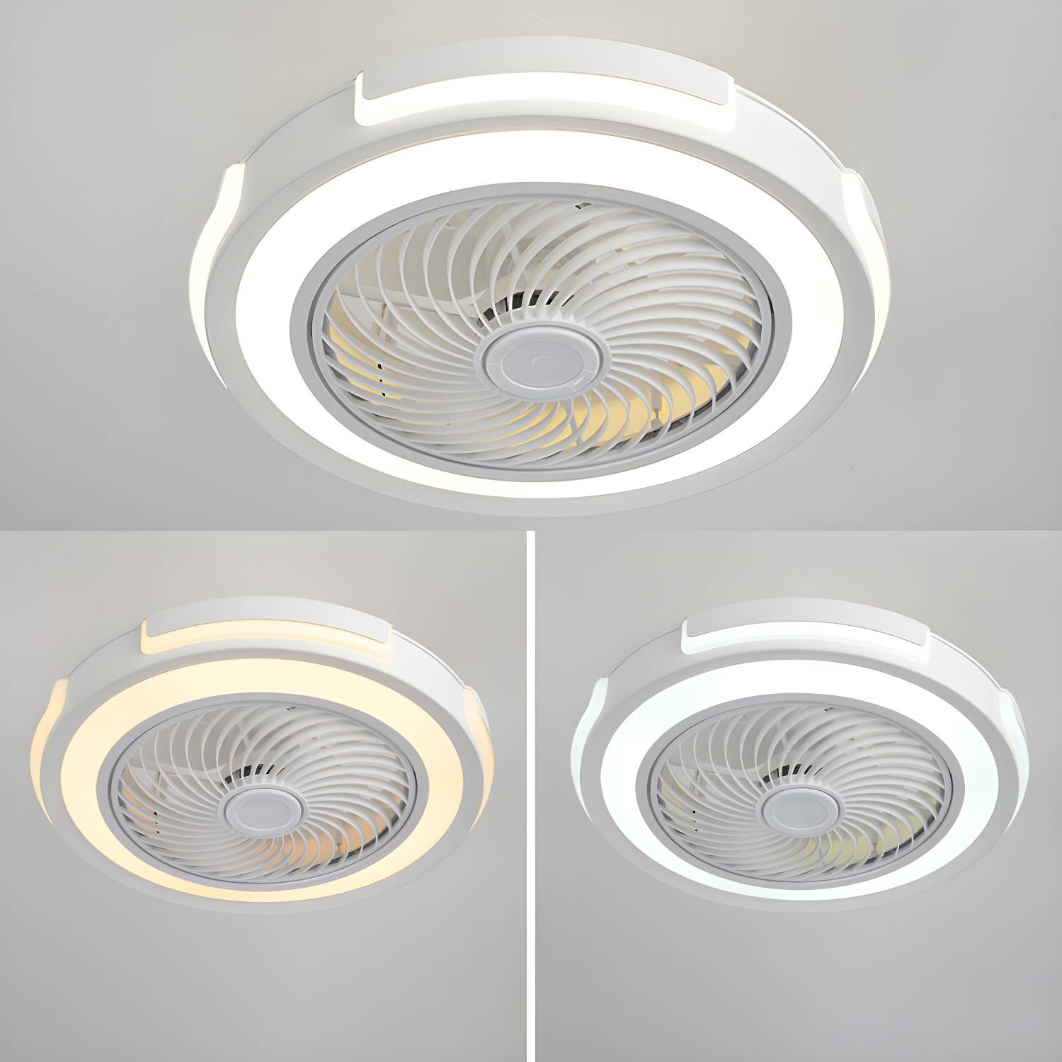 Imported image ec66cb5aa405 3636385.jpg