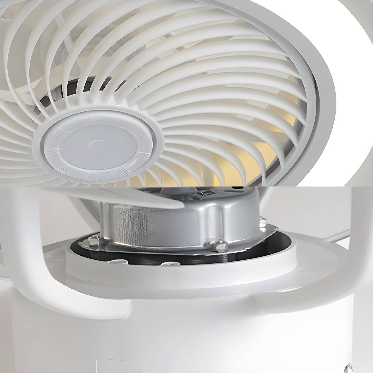 Imported image b8ddc246e1ec 3636389.jpg