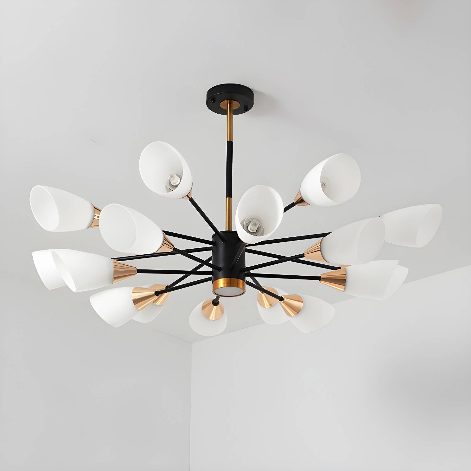 Imported image bb847ece05ad 3638553.jpg