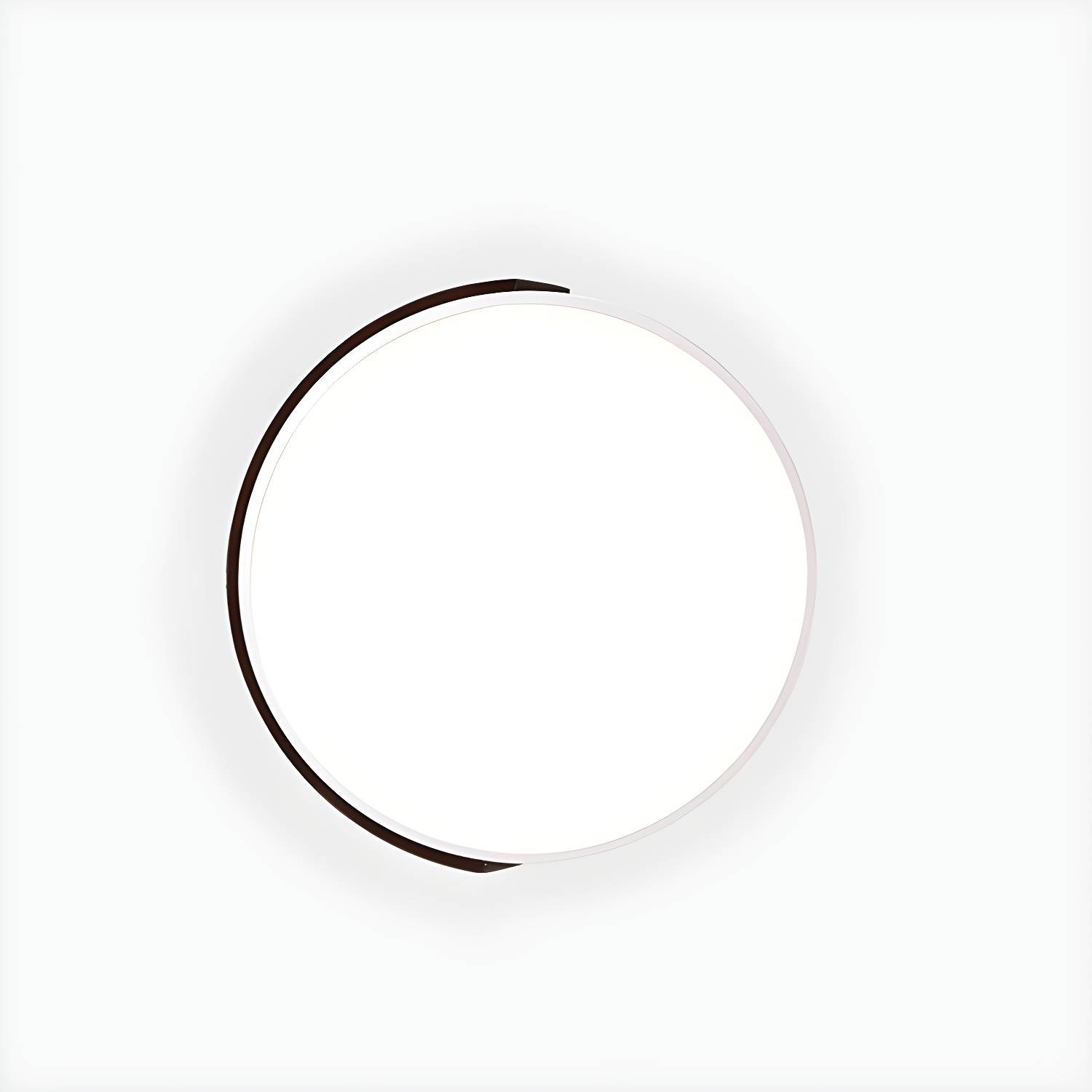 Imported image ba980dec86d4 3646593.jpg