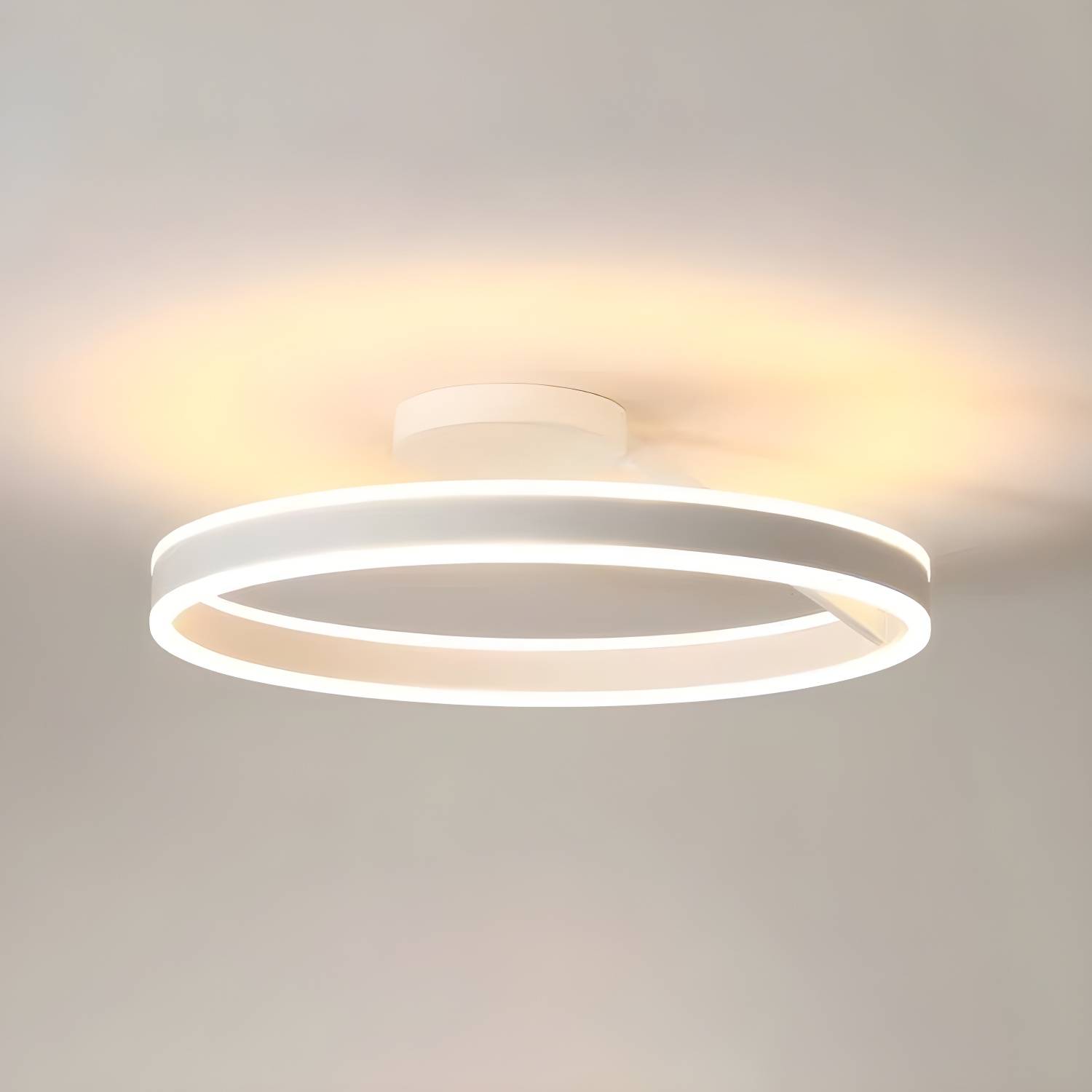 Imported image b807eae98ec0 3646685.jpg