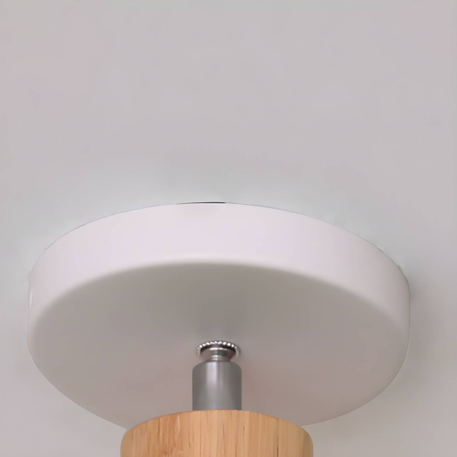 Imported image d25155eed333 3647205.jpg