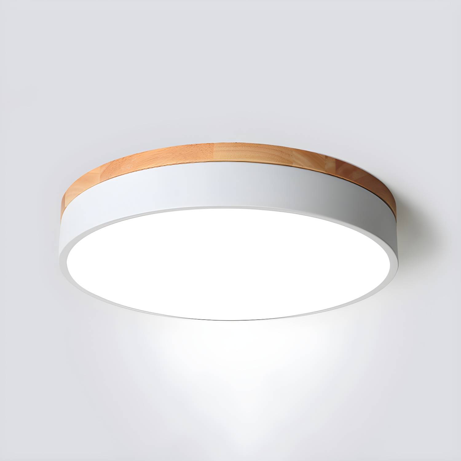Imported image 4662d6ce7089 3647551.jpg