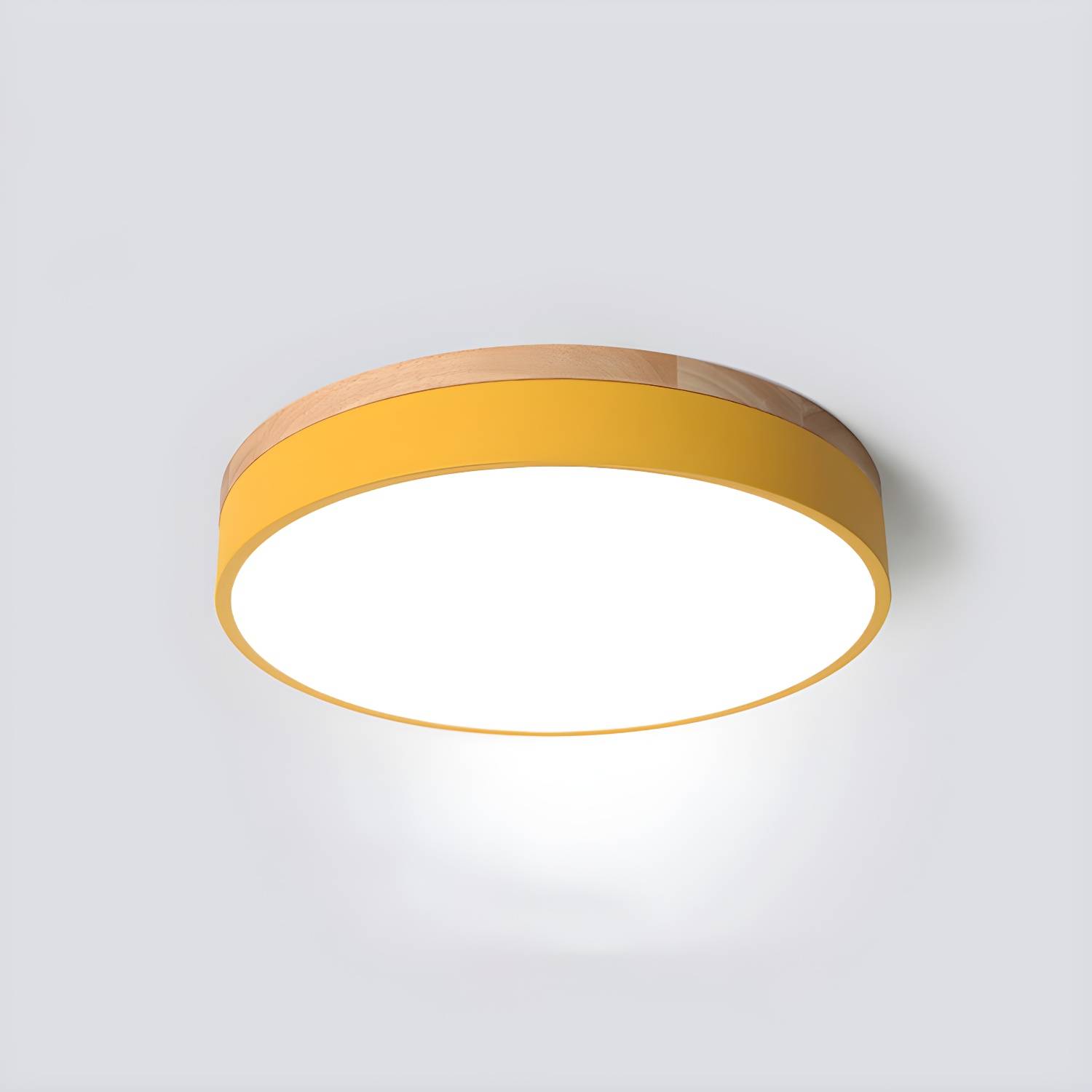 Imported image c3dd240a4796 3647557.jpg