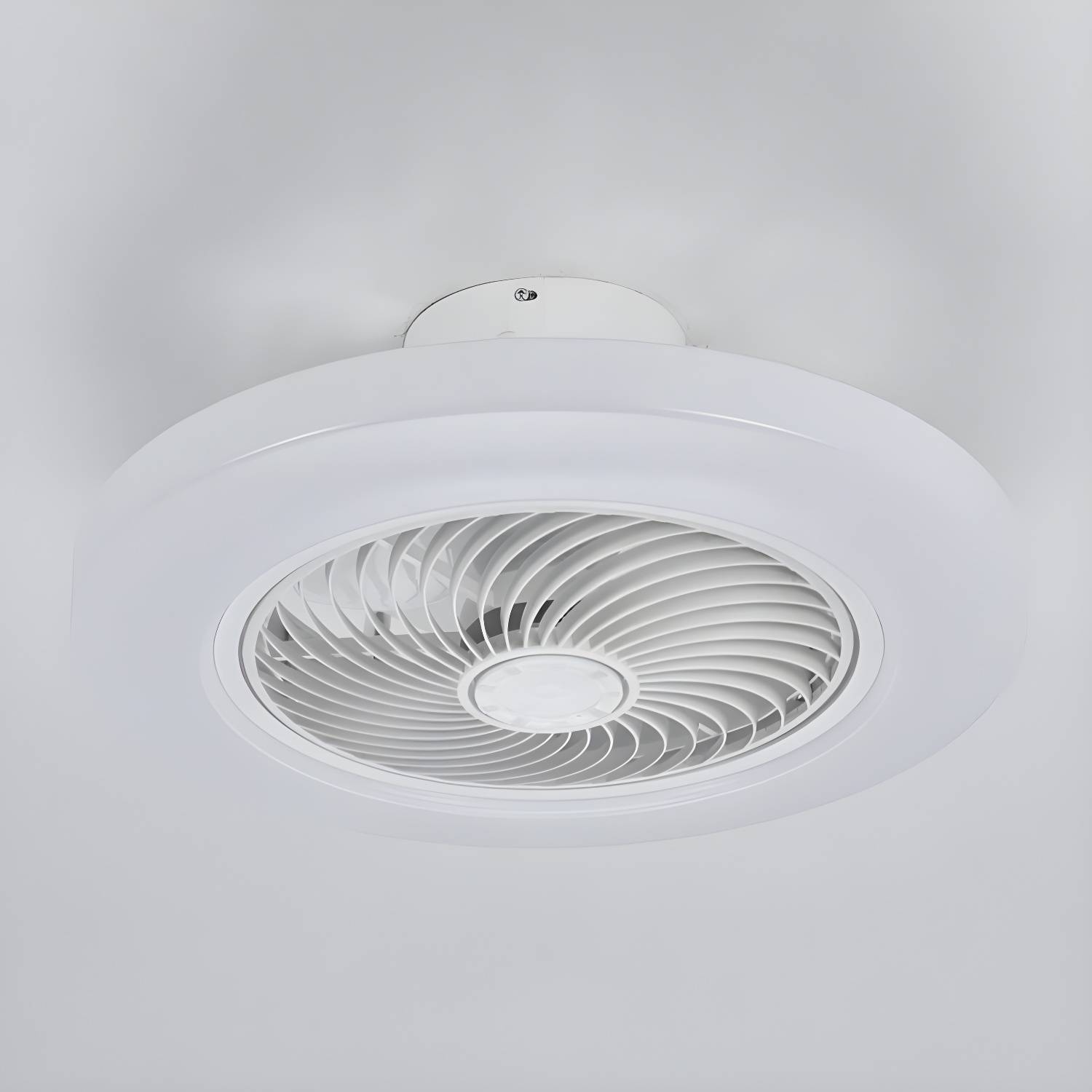 Imported image 377db89d695b 3657424.jpg