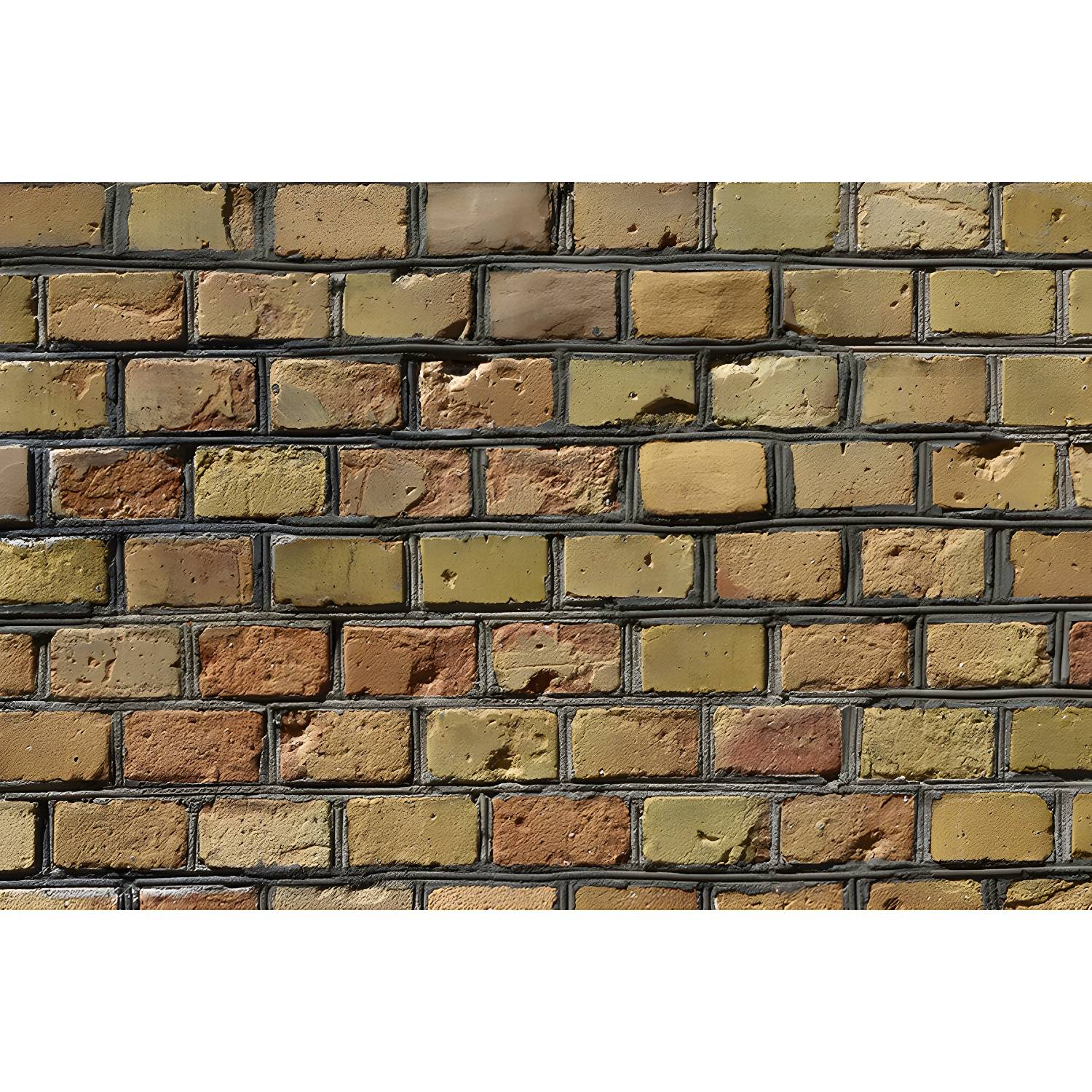 Imported image a3bd295123e0 3664171.jpg