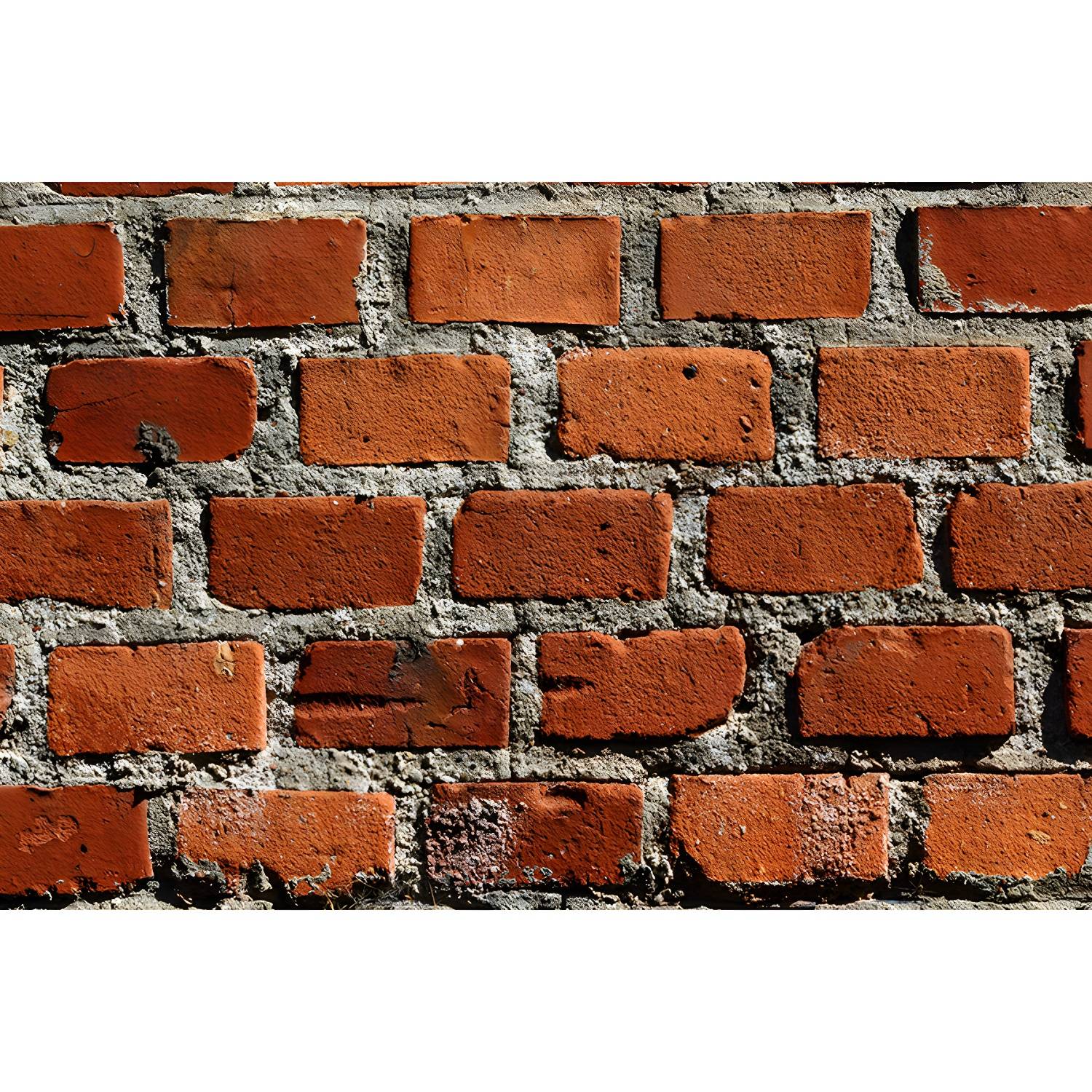 Imported image 116c15fbfc51 3664179.jpg
