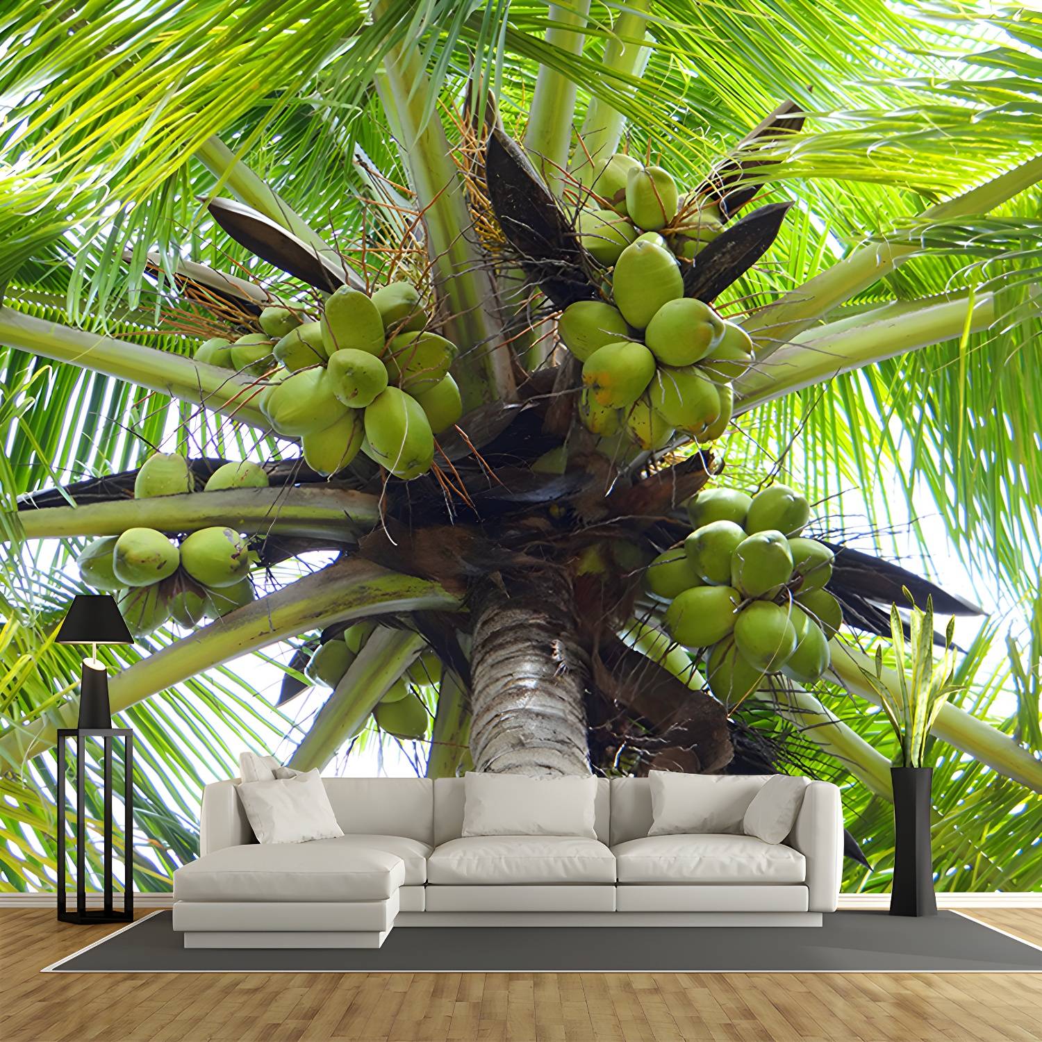 Imported image 12011343d894 3664271.jpg