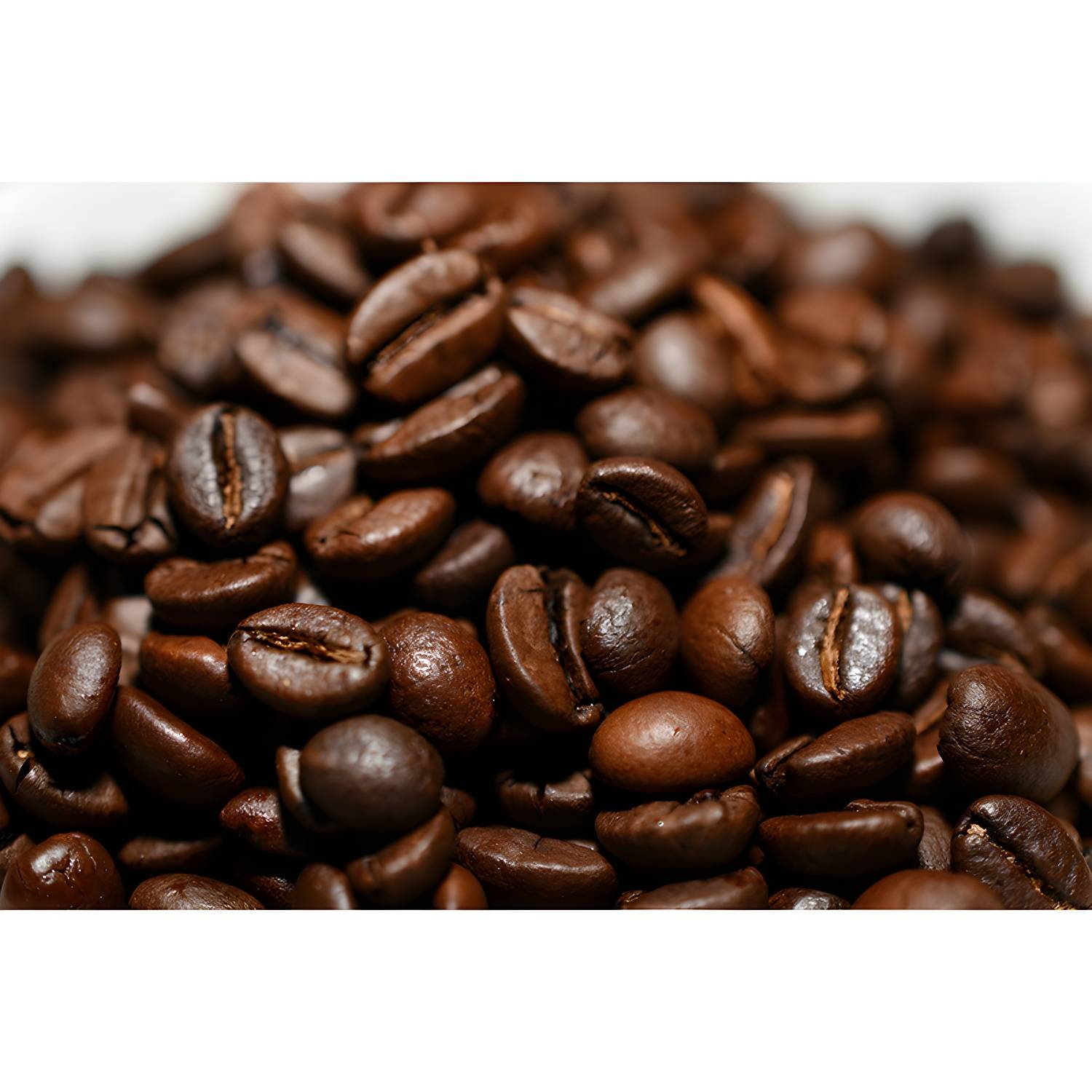 Imported image 1060a61322ea 3664409.jpg