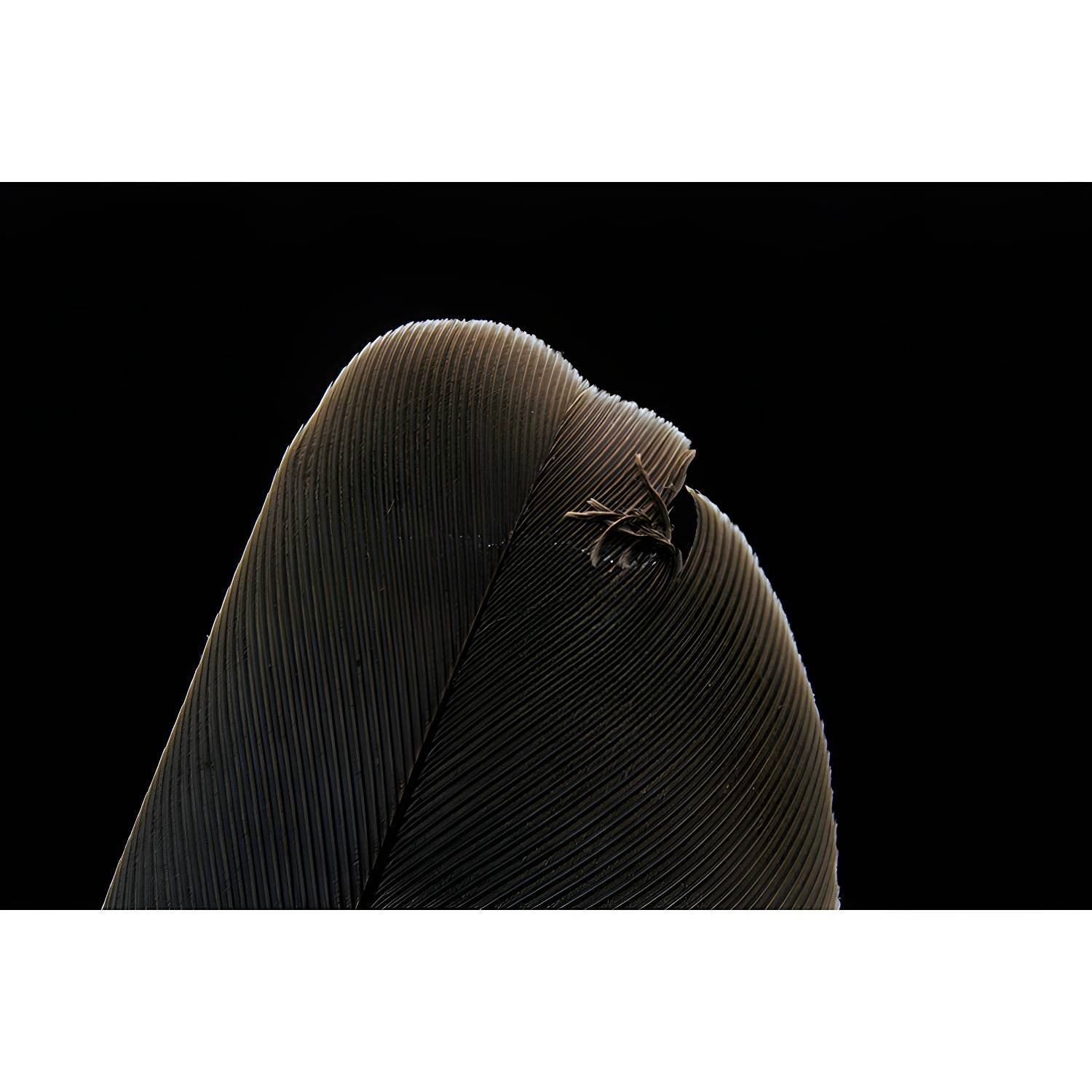 Imported image a7c3aff9e4b3 3664471.jpg