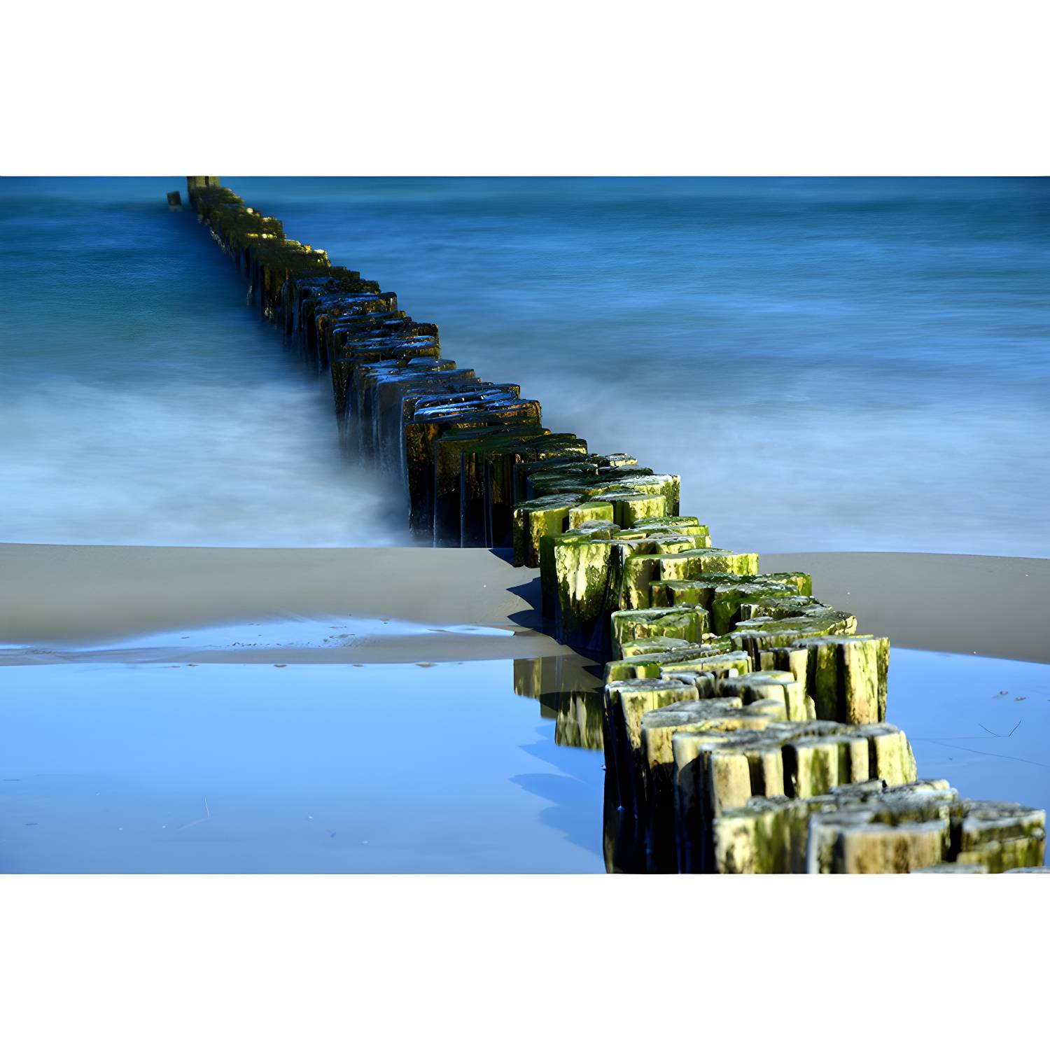 Imported image a9818050bdef 3664873.jpg
