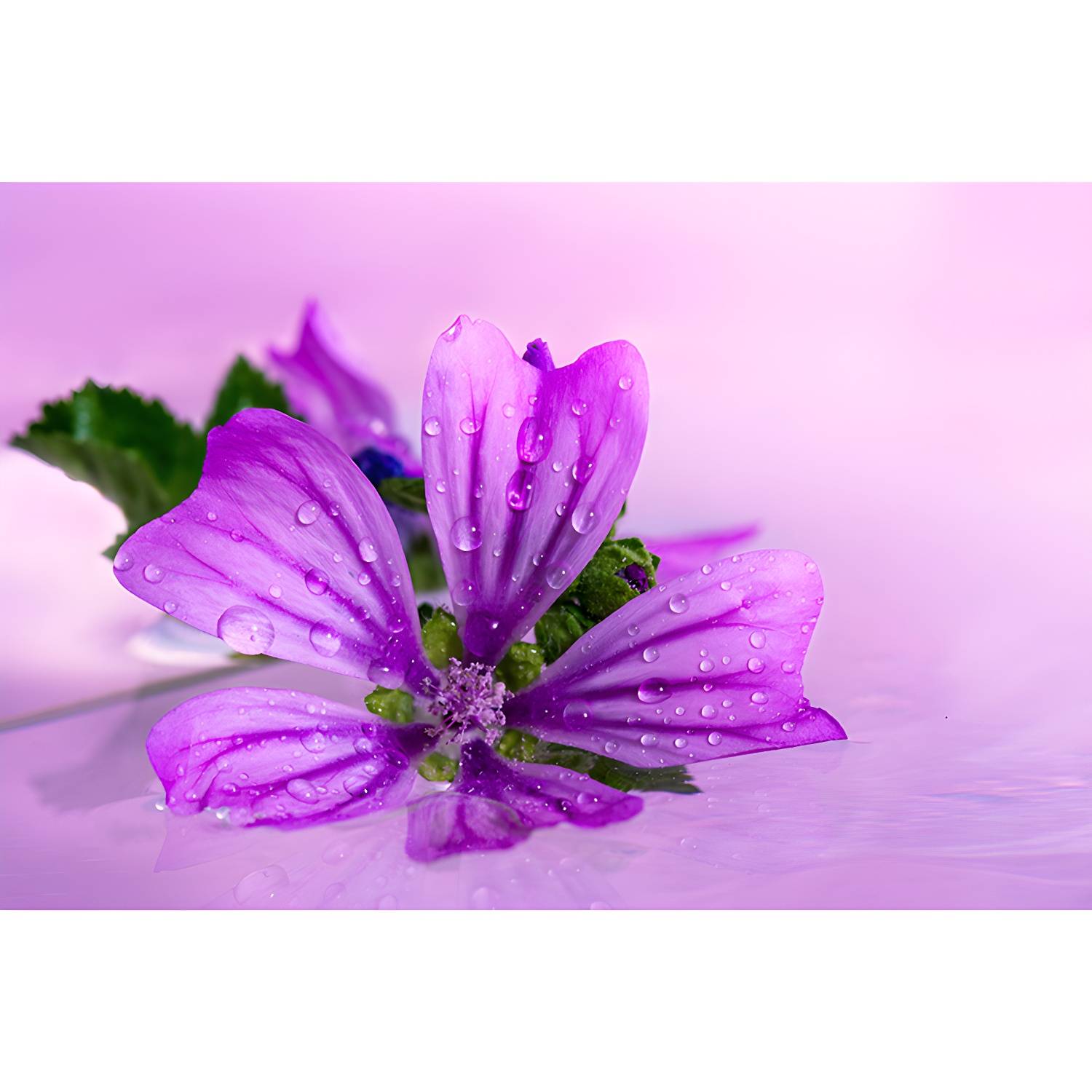 Imported image 25034e493e62 3664949.jpg