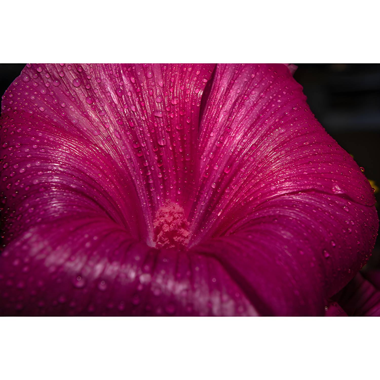 Imported image b604977f08e6 3664953.jpg
