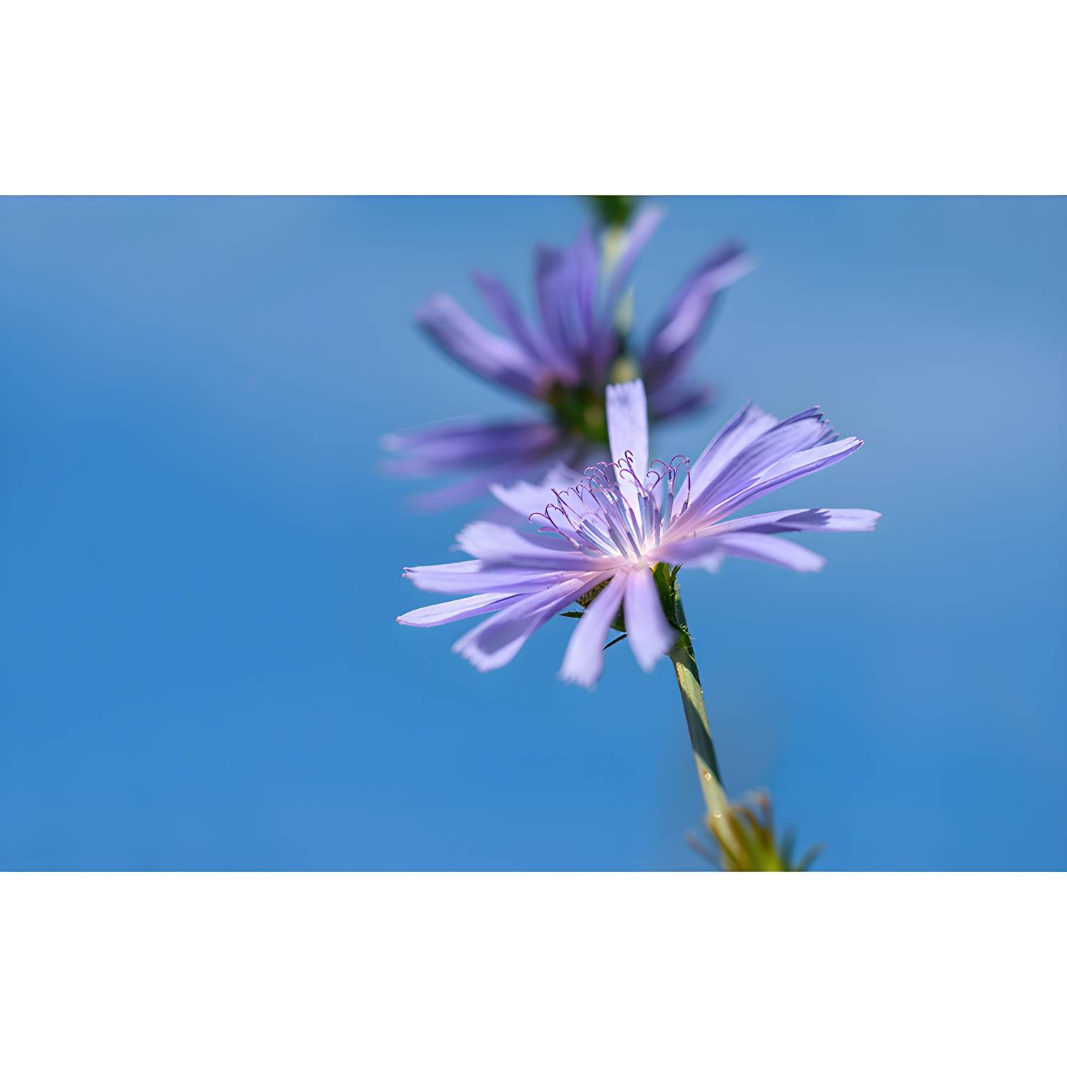 Imported image 88b72ab62e79 3664957.jpg