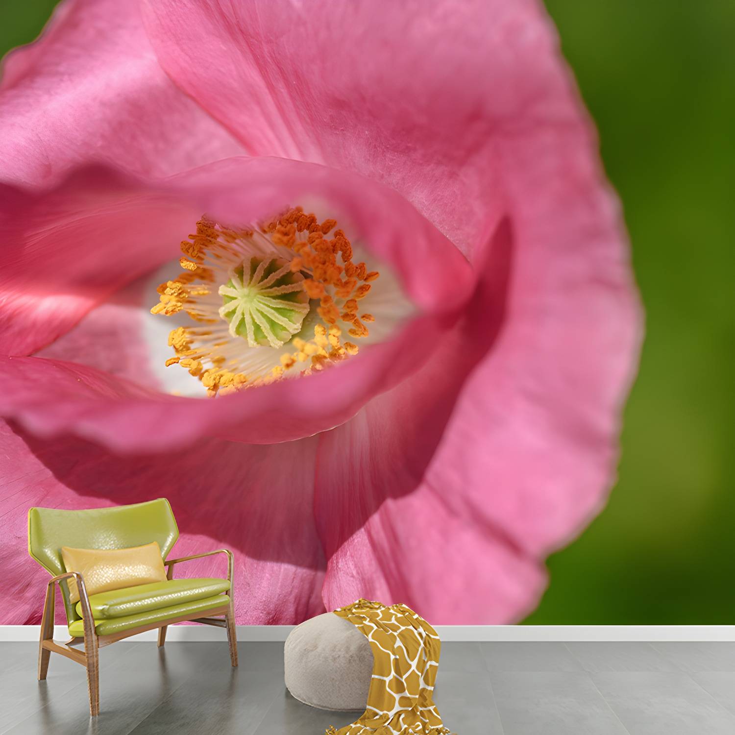 Imported image 9820cc4c62ac 3665146.jpg