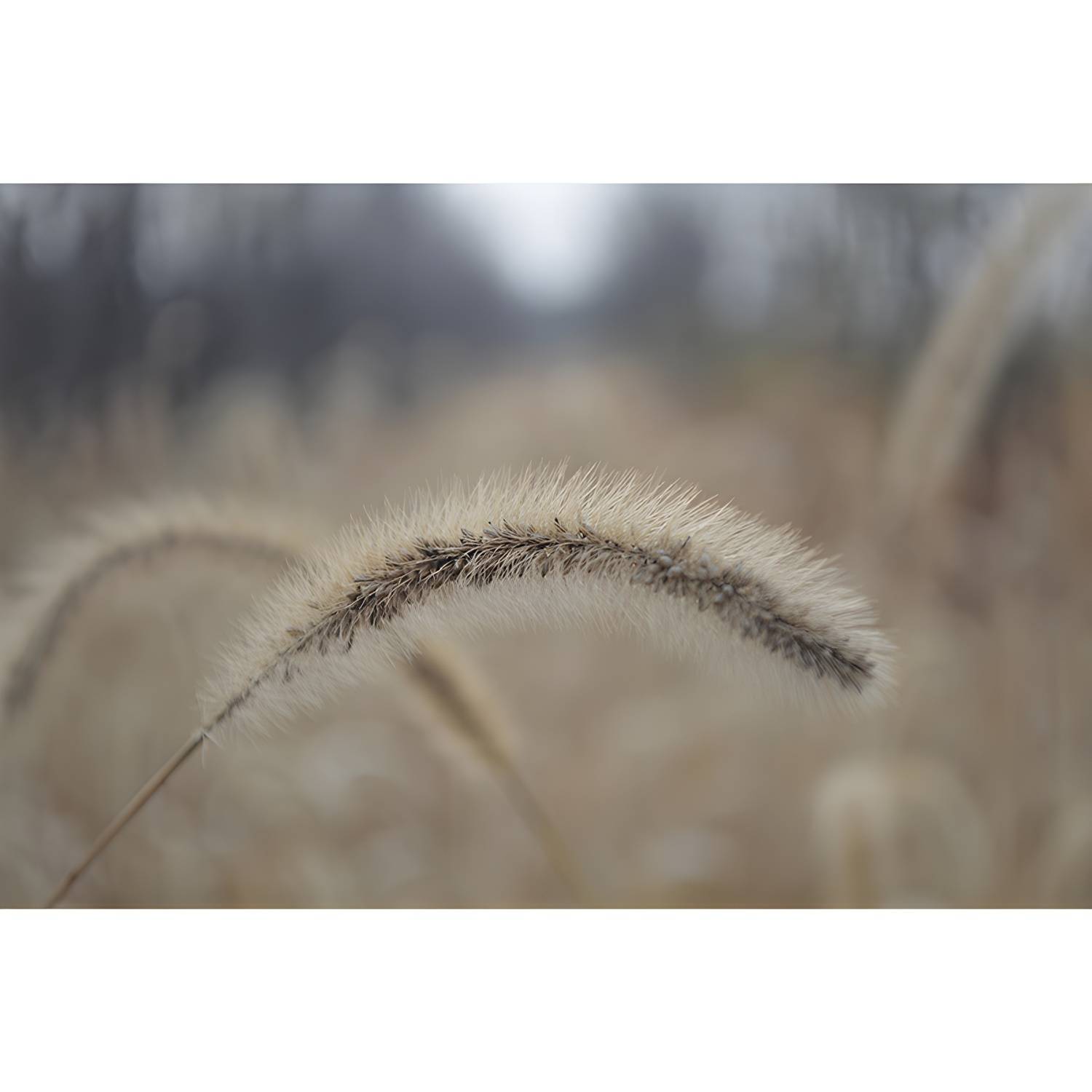 Imported image ccff541c36b9 3665425.jpg