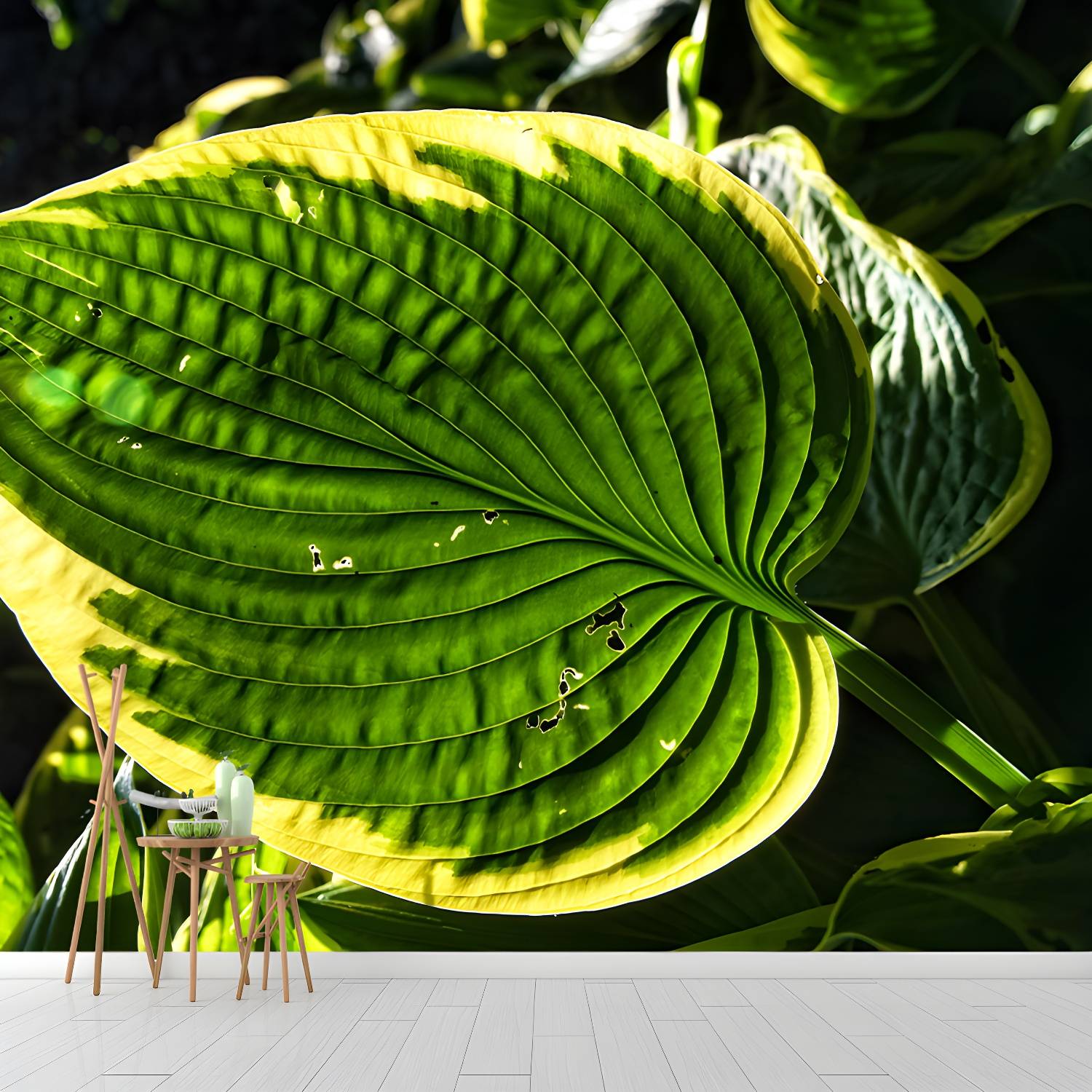 Imported image 67adda3c60d5 3665526.jpg
