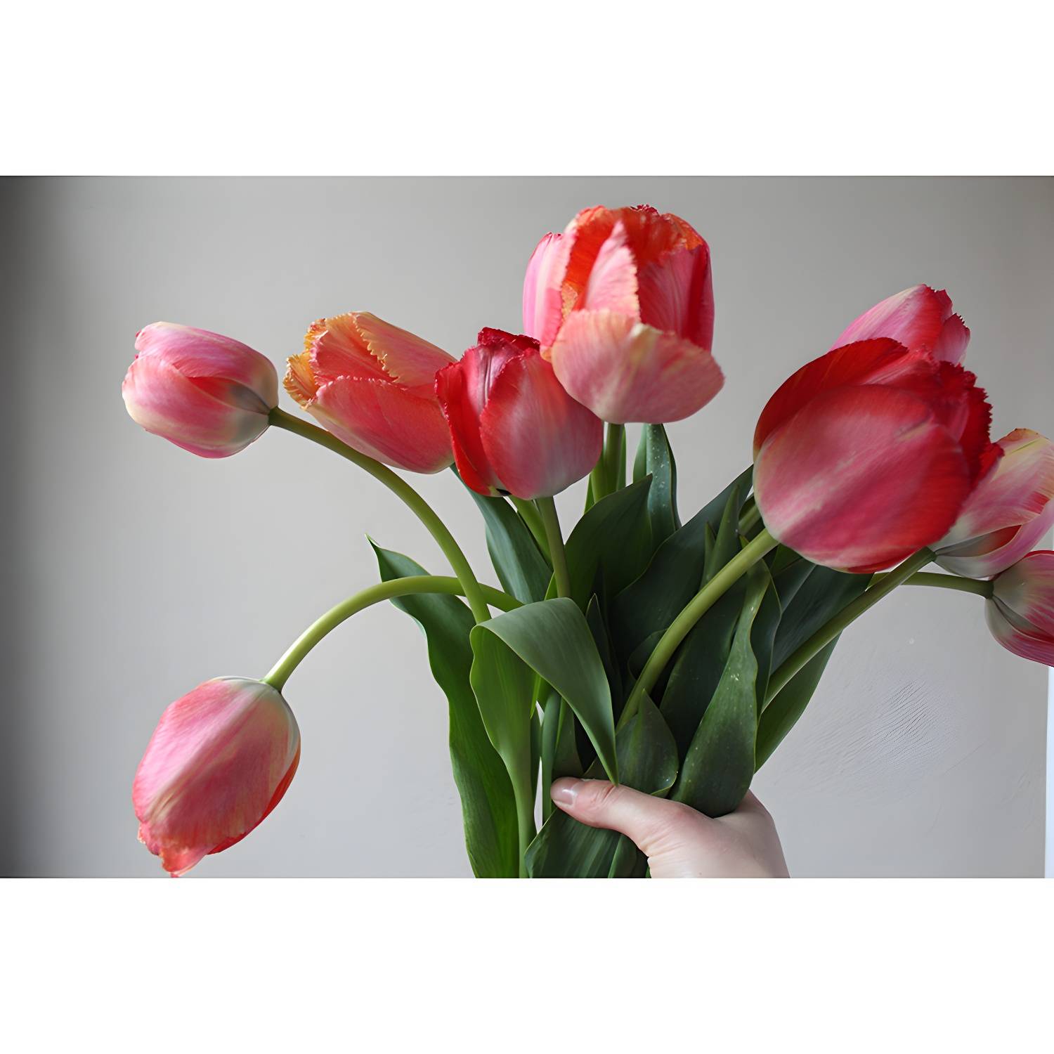 Imported image b4d456deaa42 3666159.jpg