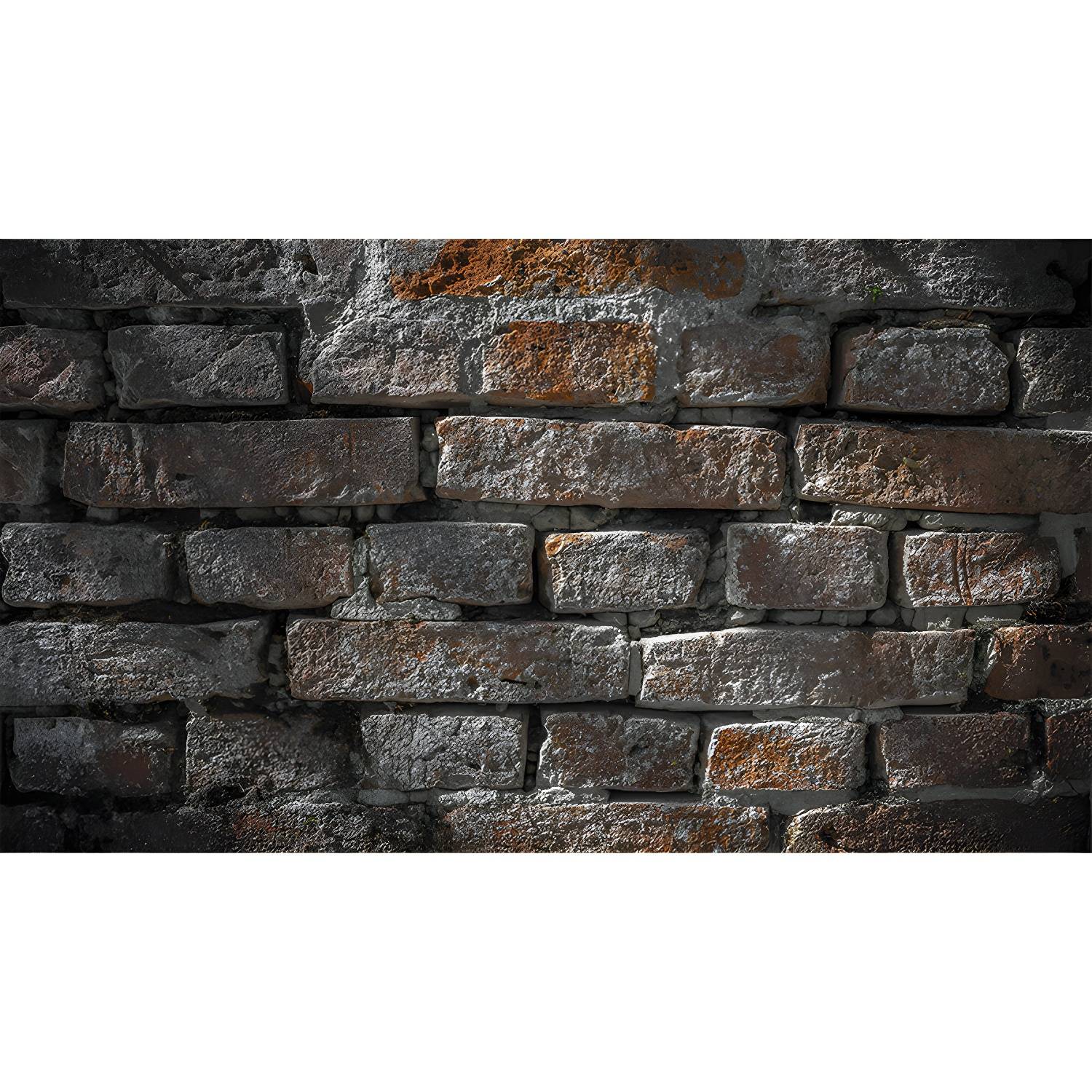 Imported image aa89df03c59a 3674826.jpg