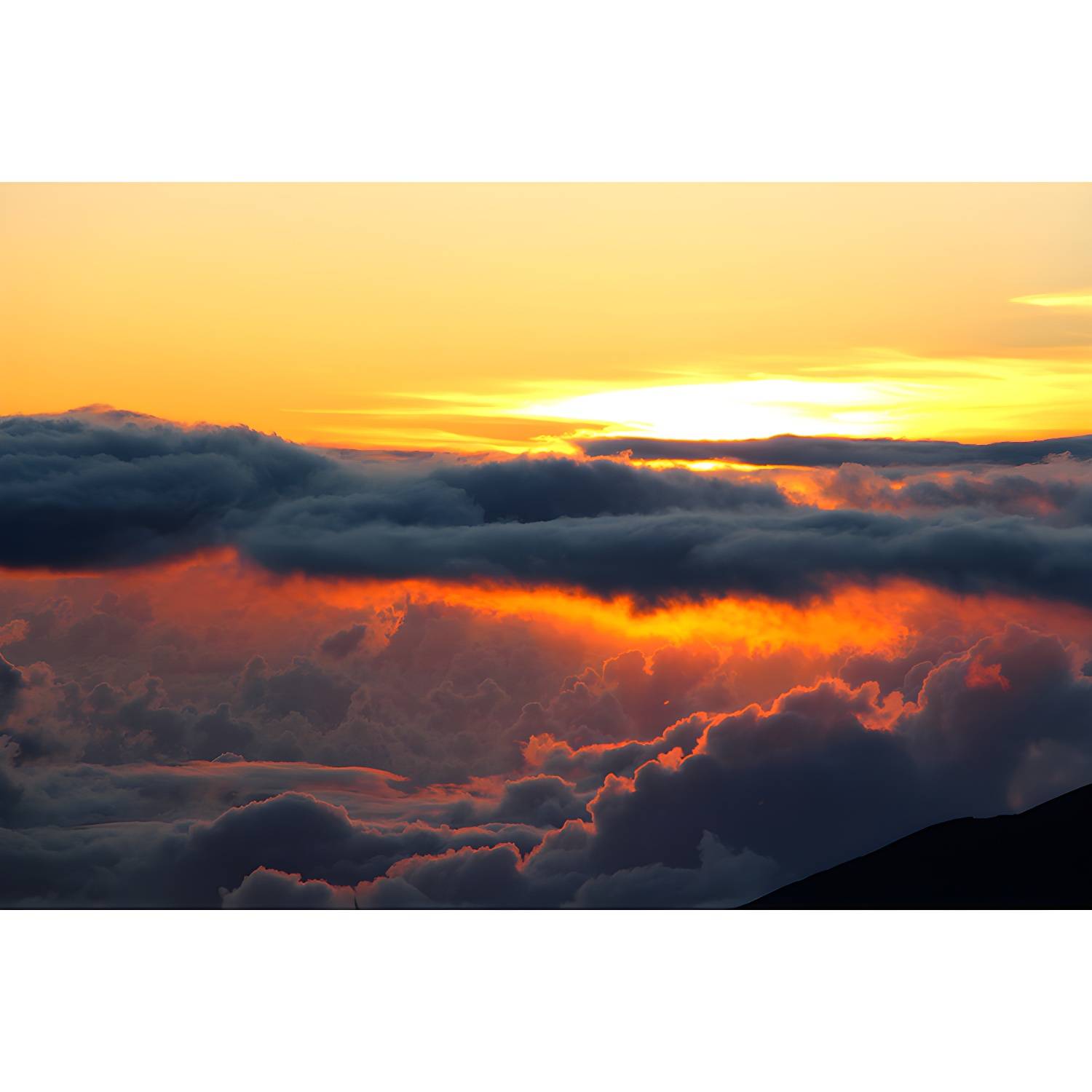 Imported image c5d0ff4c1f8e 3675654.jpg