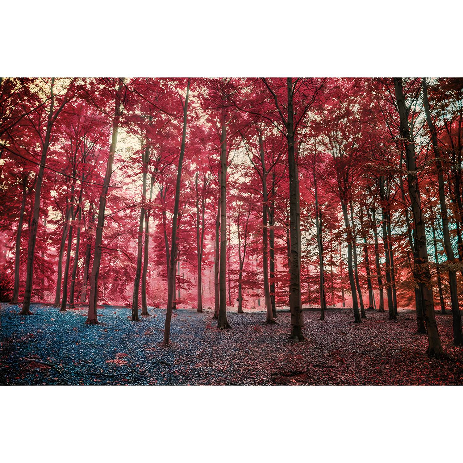 Imported image 8ce03eb2ec21 3676036.jpg