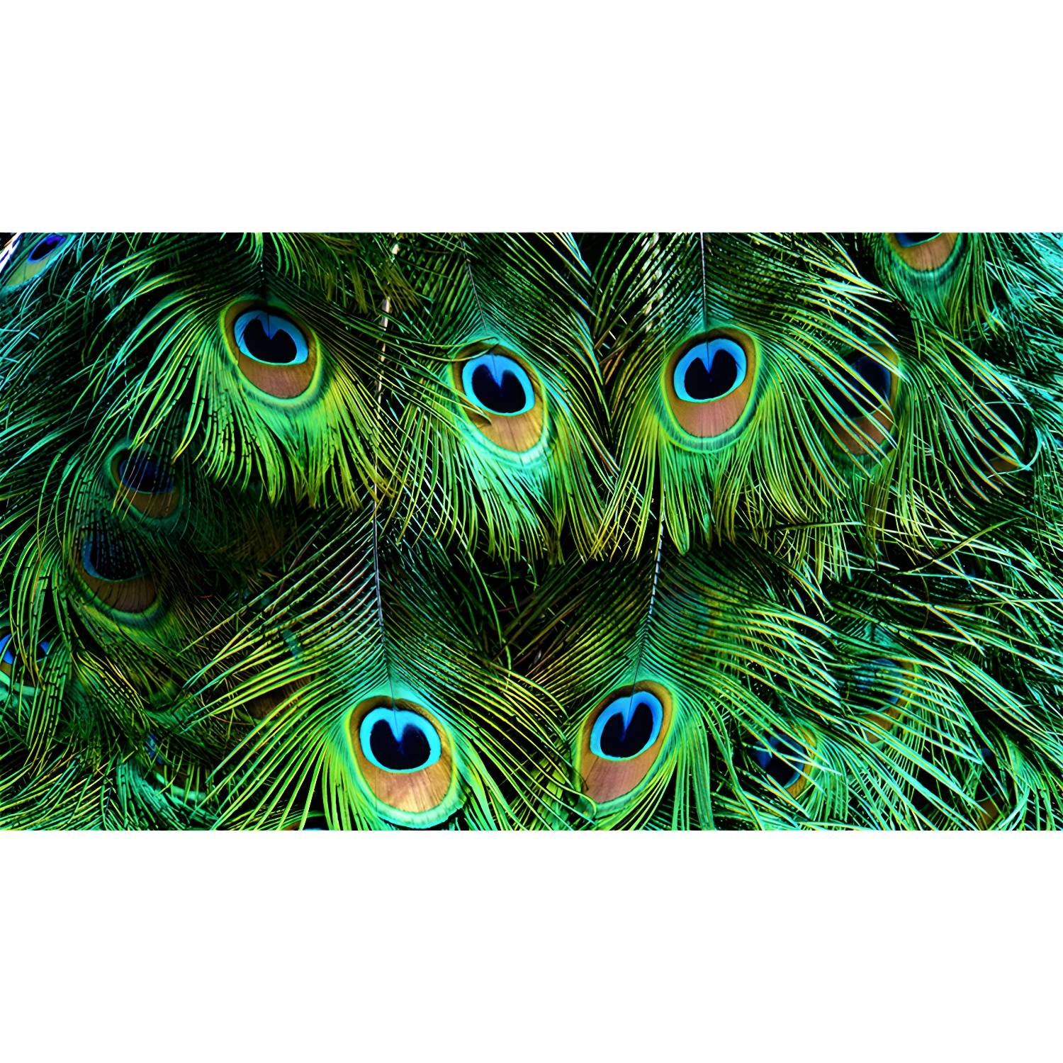 Imported image 3ac1cde5b54e 3676130.jpg
