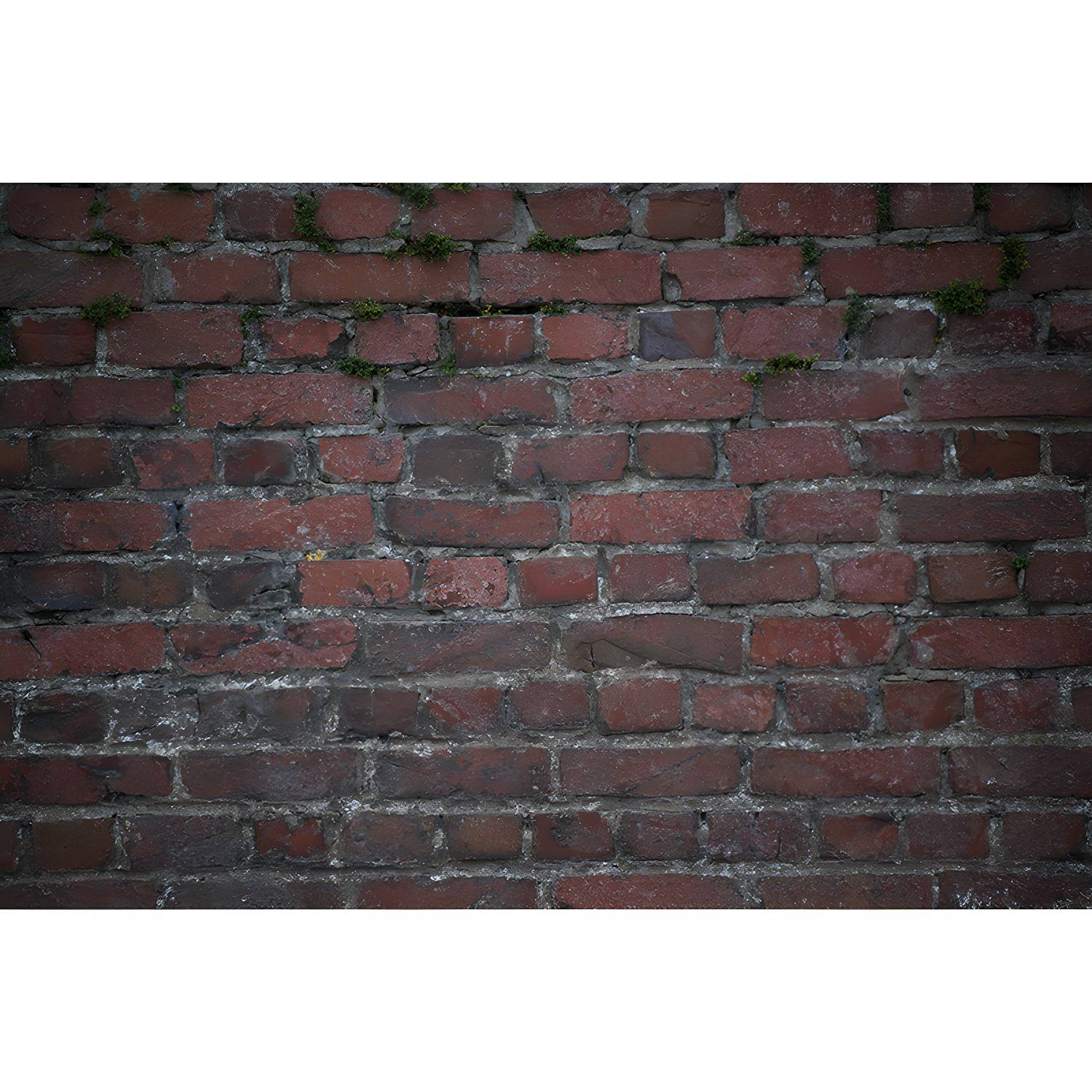 Imported image 0fe27bef5d0b 3676540.jpg