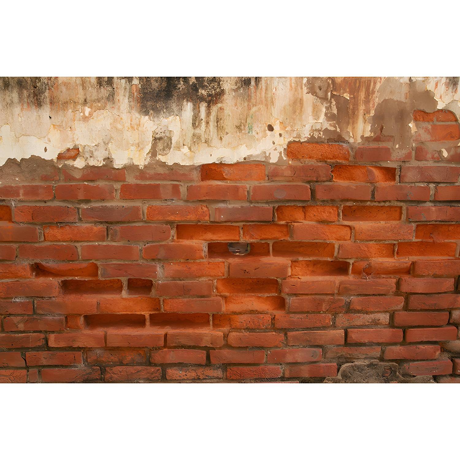 Imported image 56c3badacb5f 3676562.jpg
