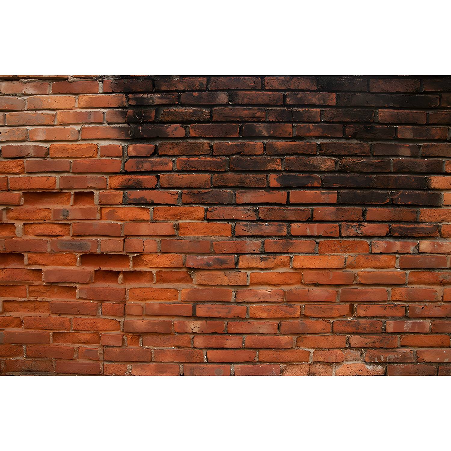 Imported image 6cb36daa08e9 3676568.jpg