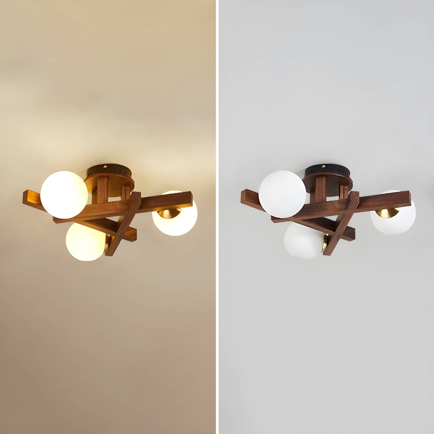 Imported image 65b21bce8ab5 3684087.jpg