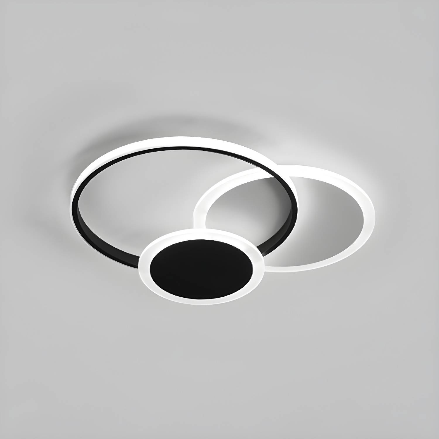 Imported image 6e717557a89d 3684241.jpg