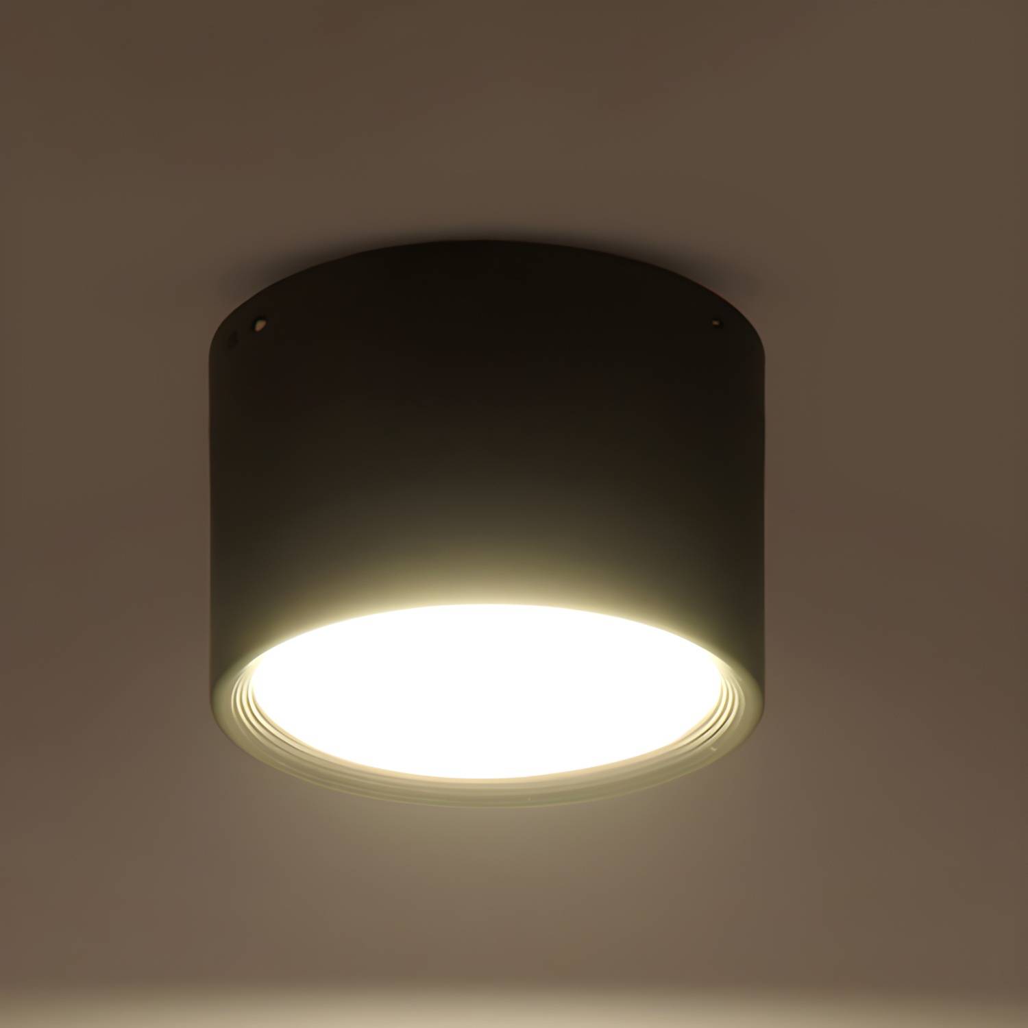 Imported image d132a0a0c786 3694140.jpg